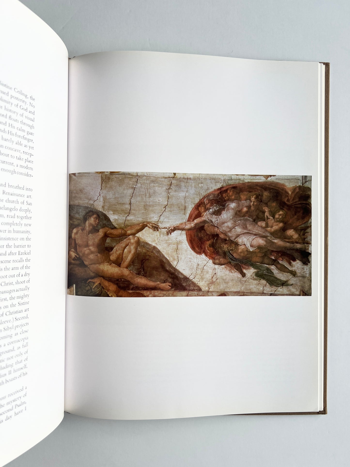 1984 Michelangelo