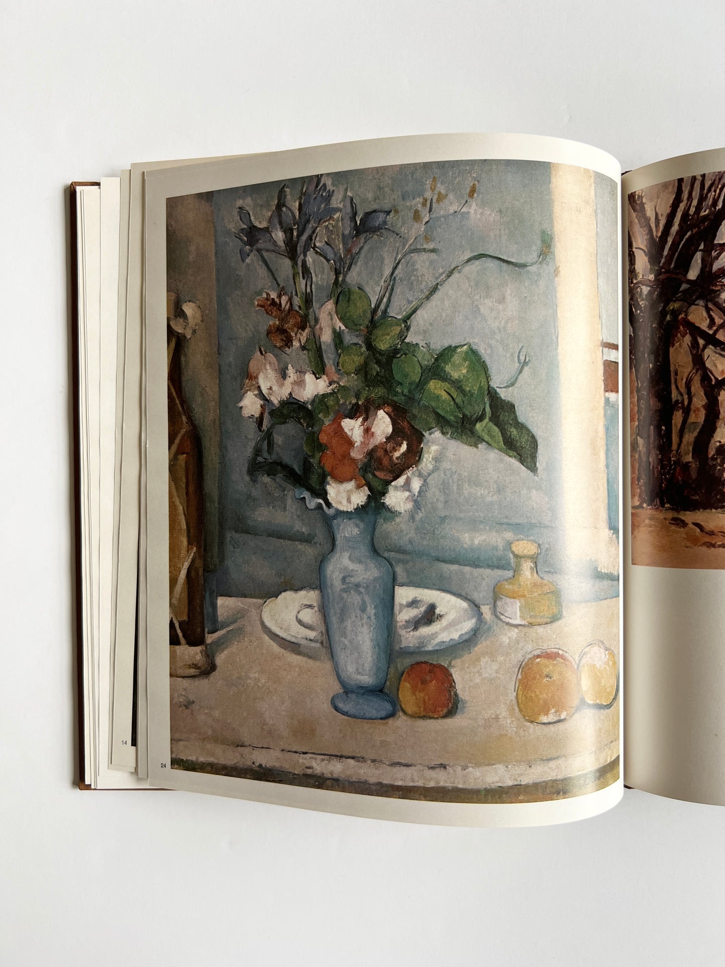 1971 Cézanne- The Colour Library of Art Series