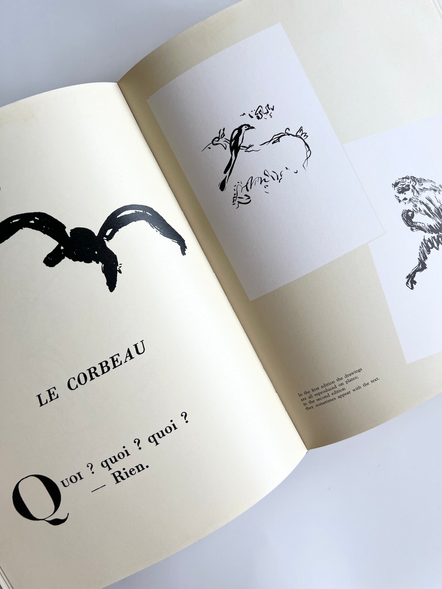 *1989 Pierre Bonnard: Illustrator- Rare/ Collectible