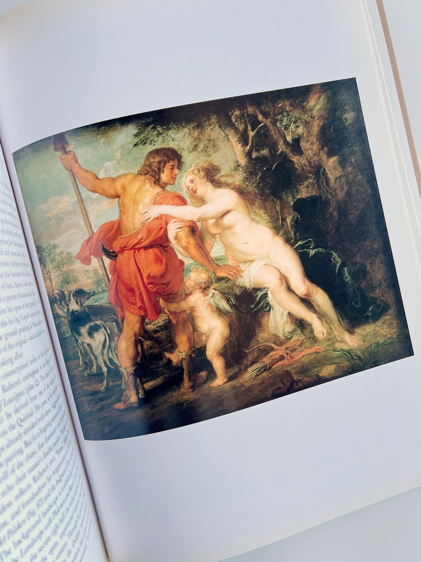 1989 Rubens