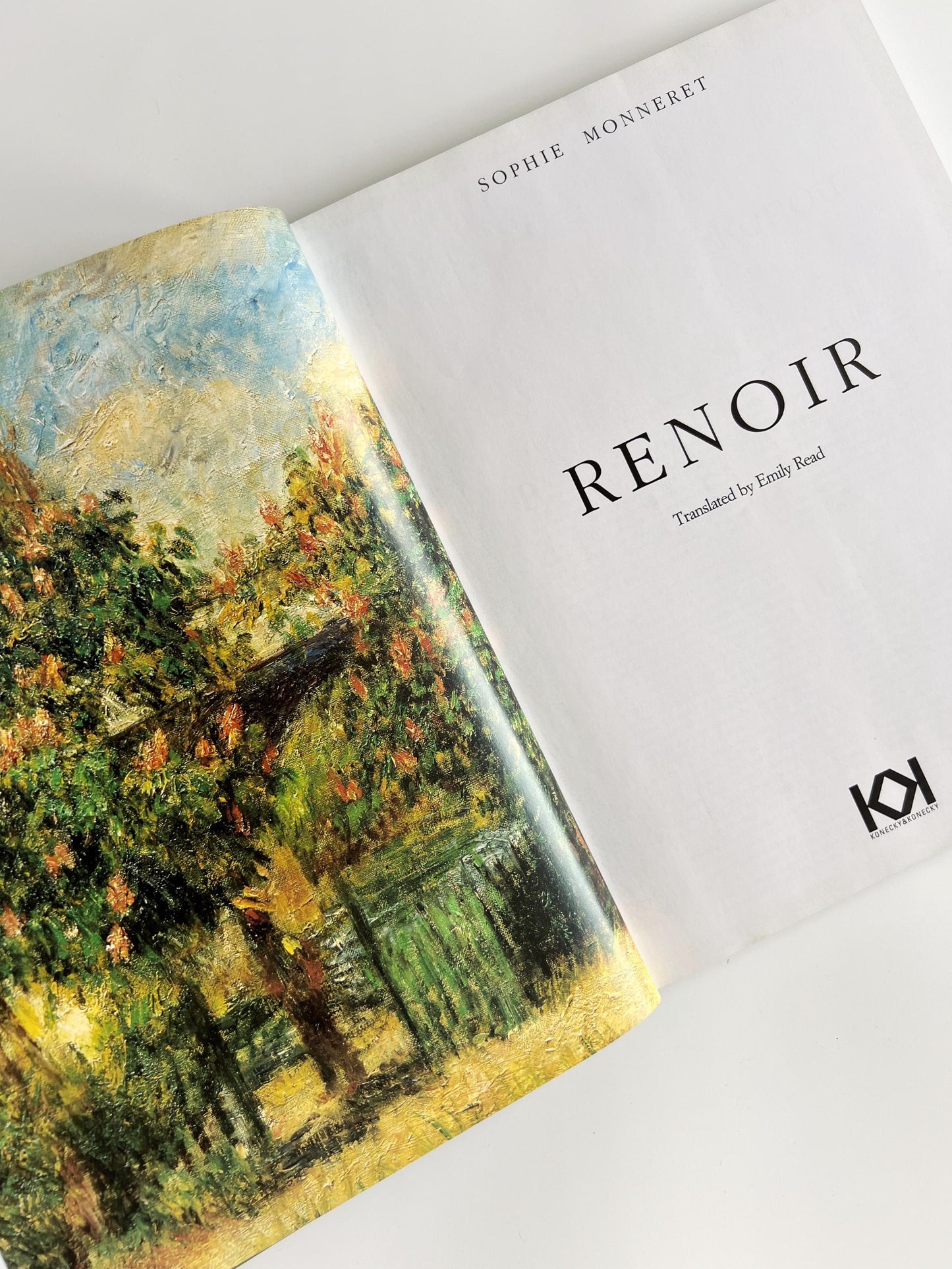 1991 Renoir