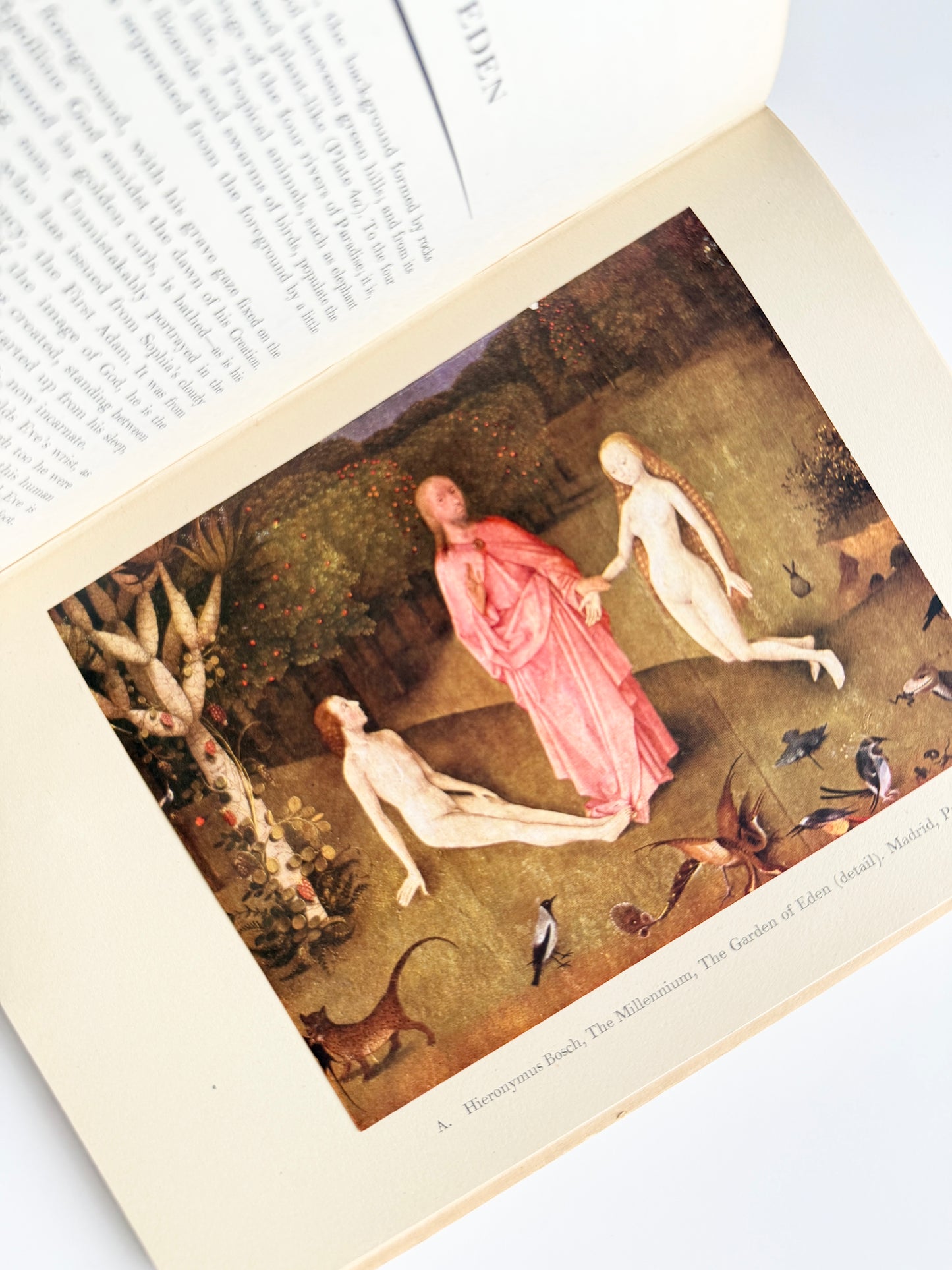 1951 The Millennium of Hieronymus Bosch | First Edition | Rare & Collectible