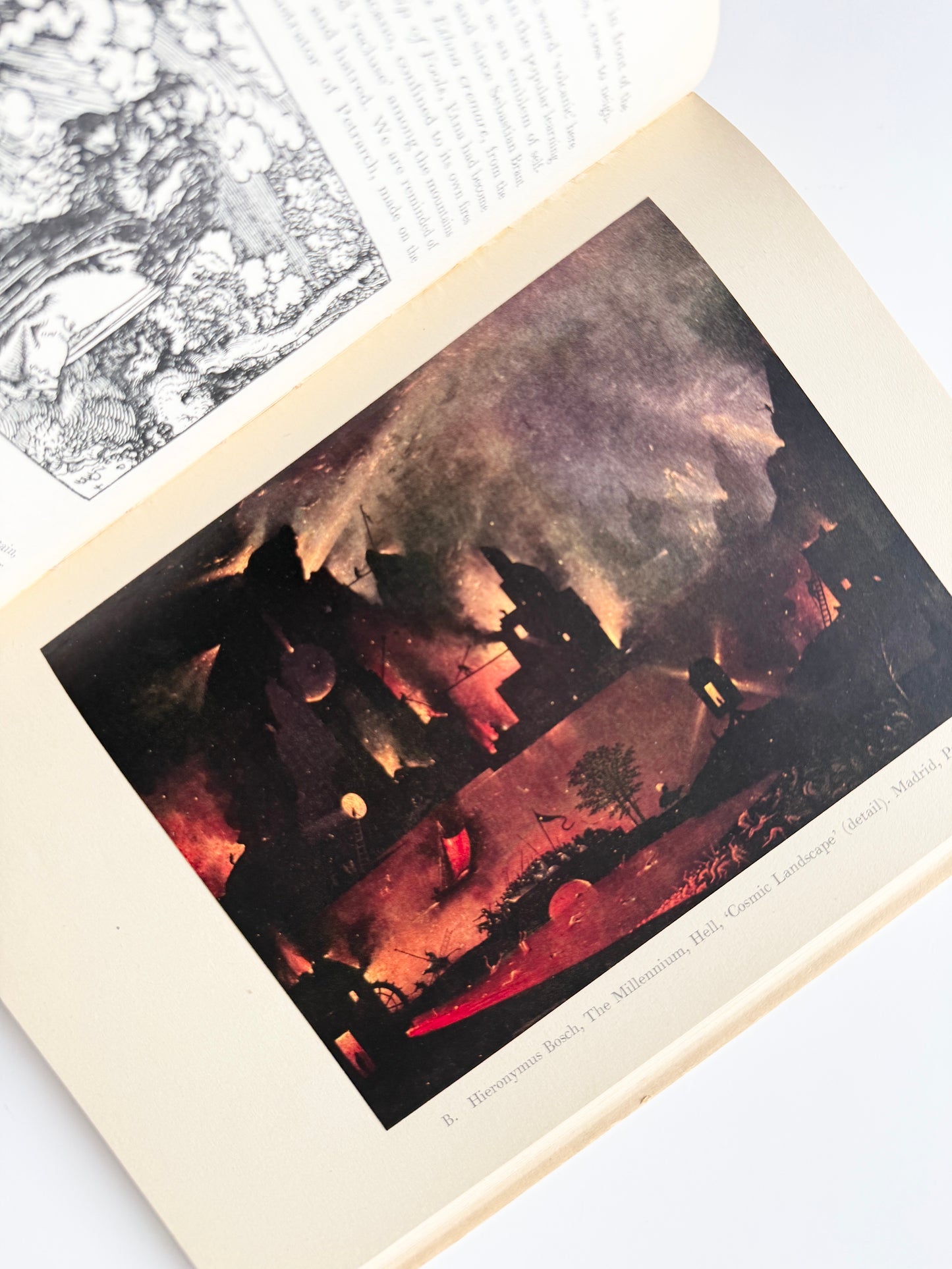 1951 The Millennium of Hieronymus Bosch | First Edition | Rare & Collectible