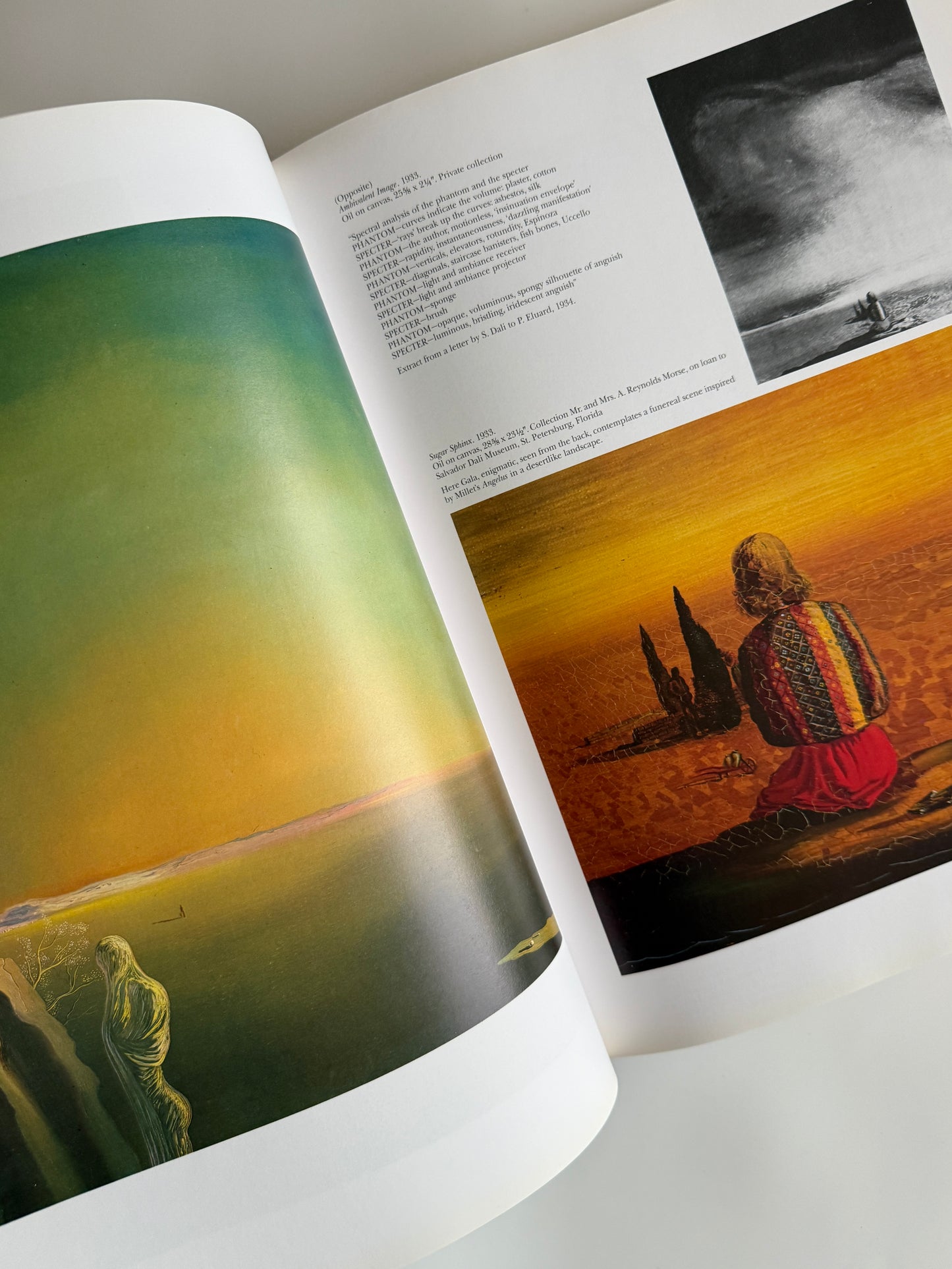 *1984 Dalí: The Work · The Man