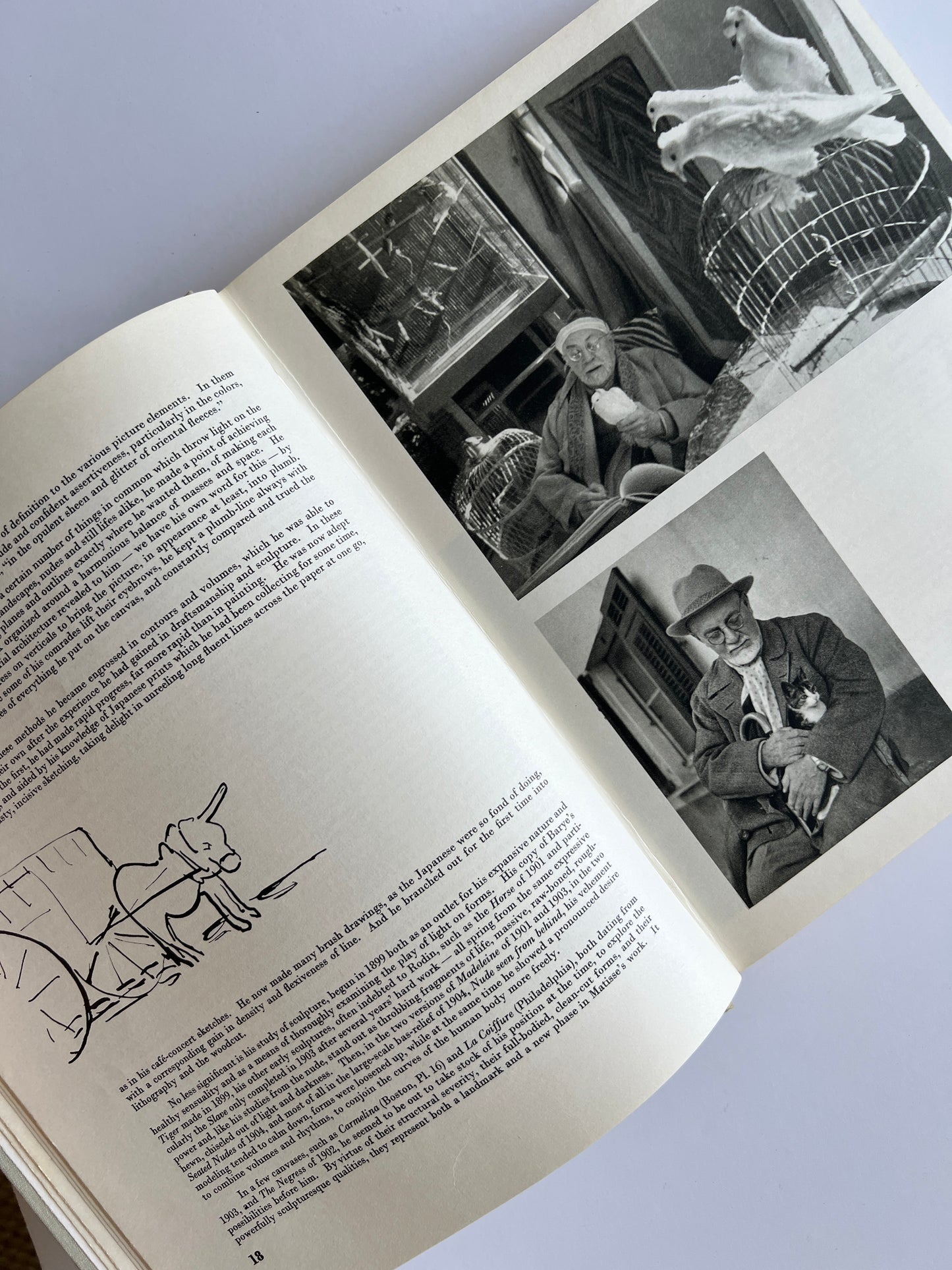 *1958 Henri Matisse by Gaston Diehl | Collectible