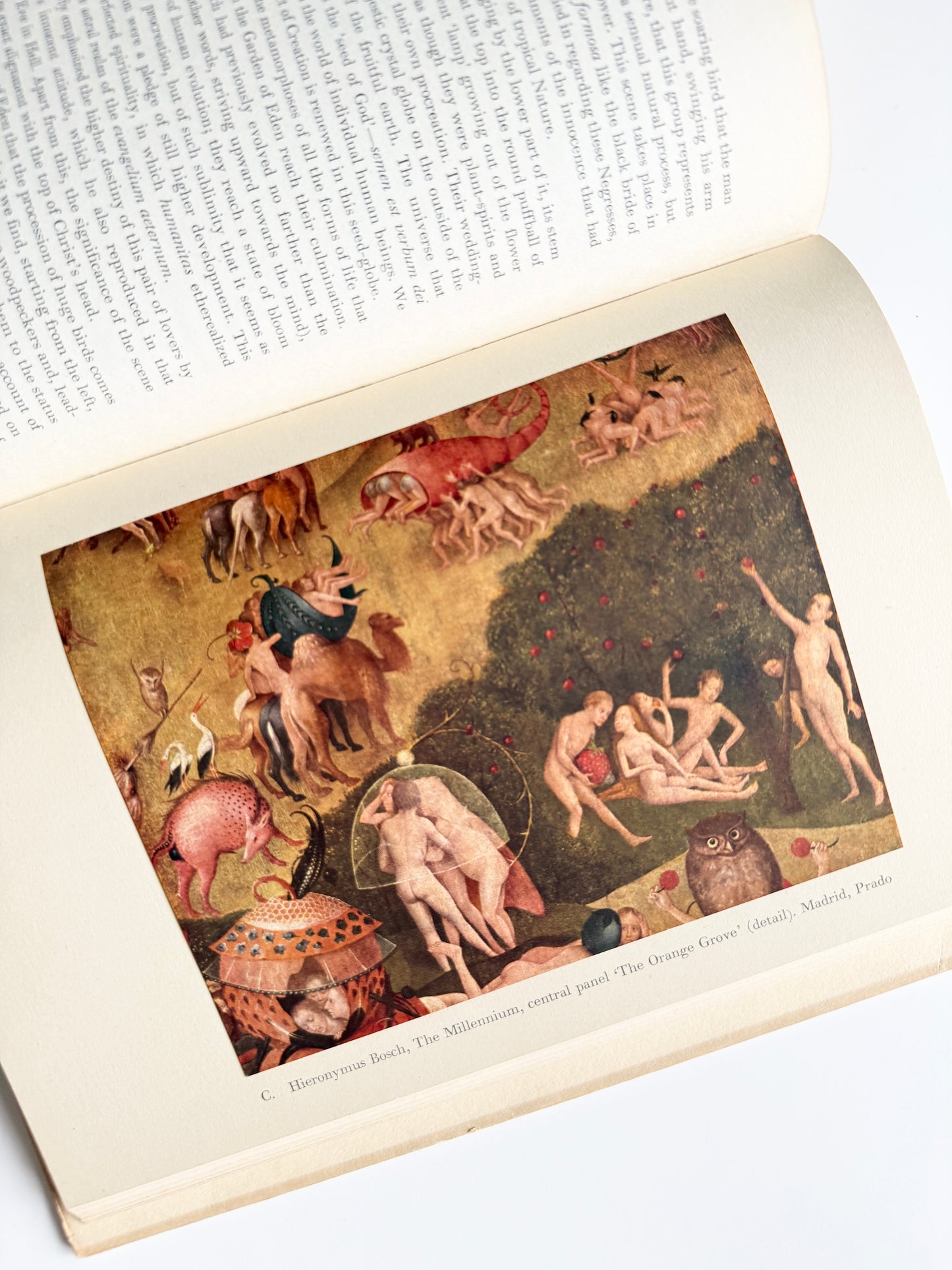 1951 The Millennium of Hieronymus Bosch | First Edition | Rare & Collectible