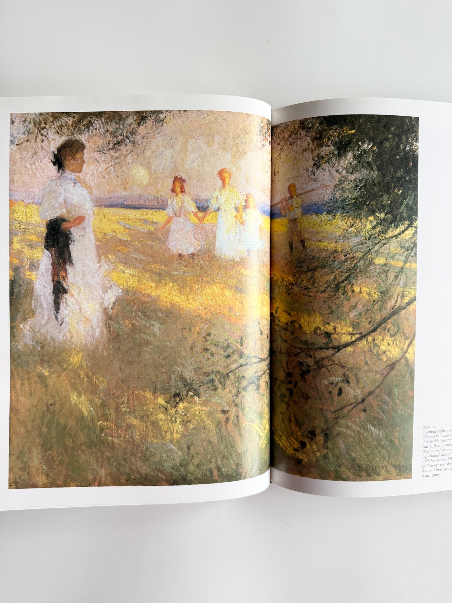 *1994 Frank W. Benson: American Impressionist