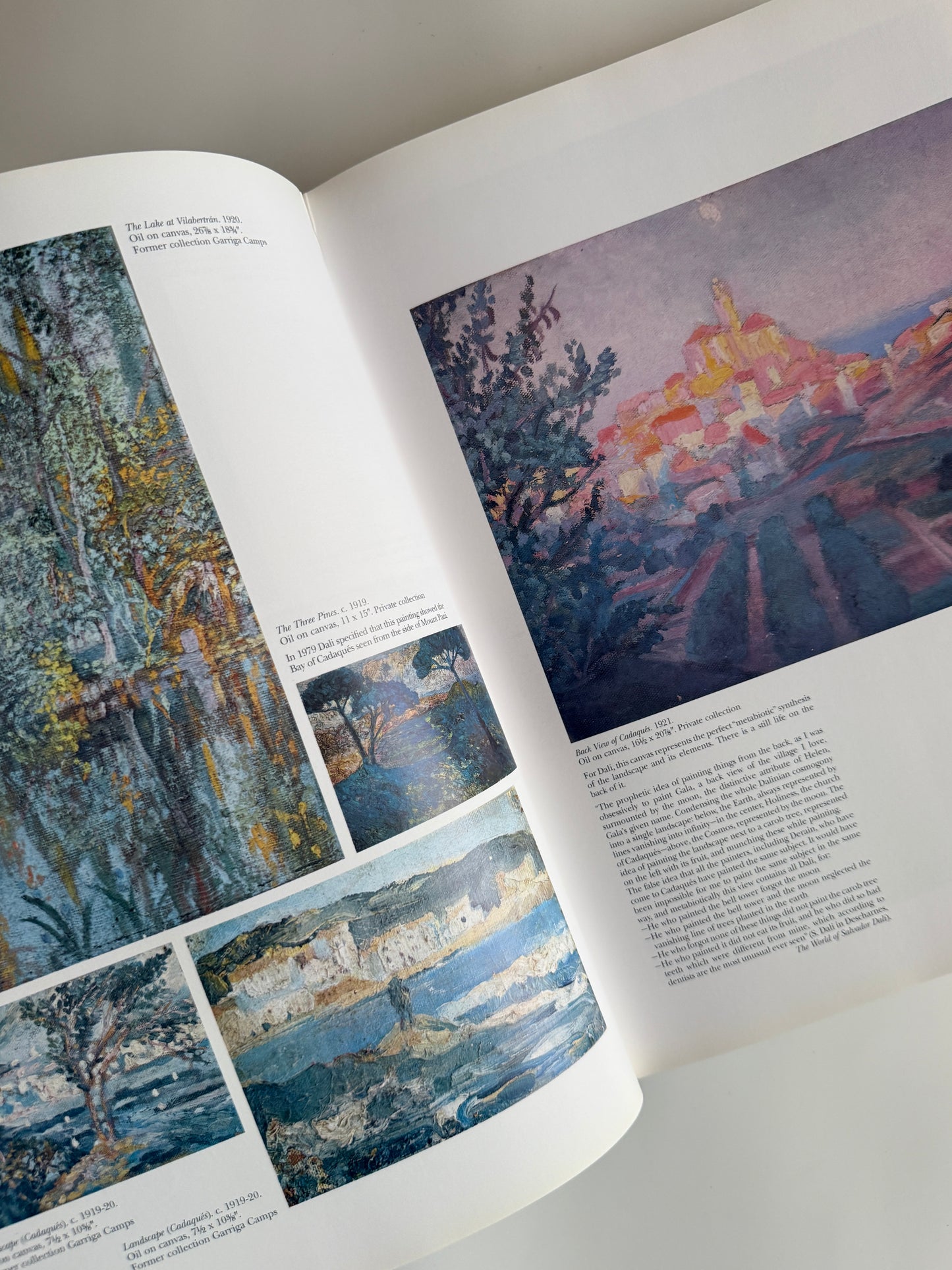 *1984 Dalí: The Work · The Man