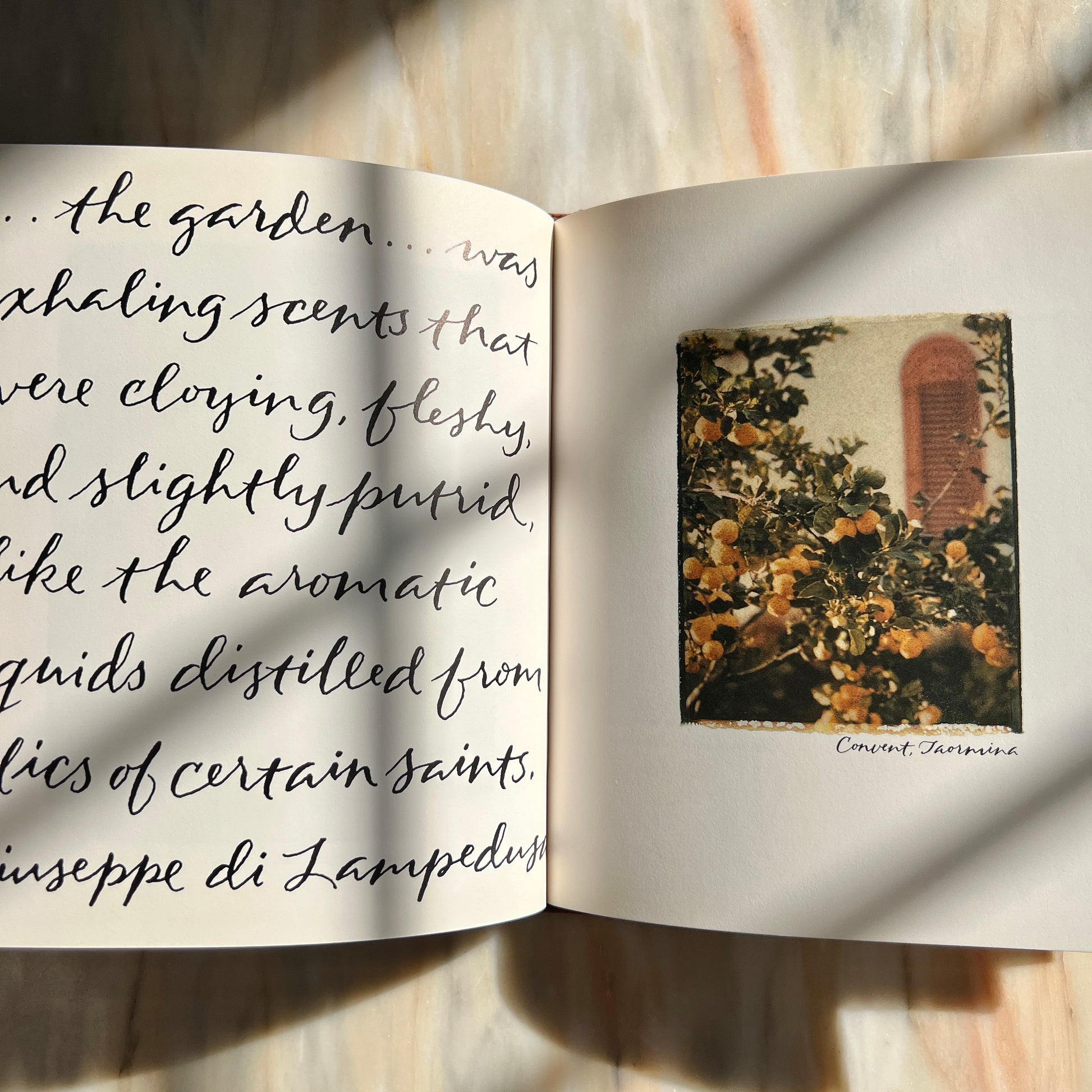 1995 Italian Dreams by Steven Rothfeld