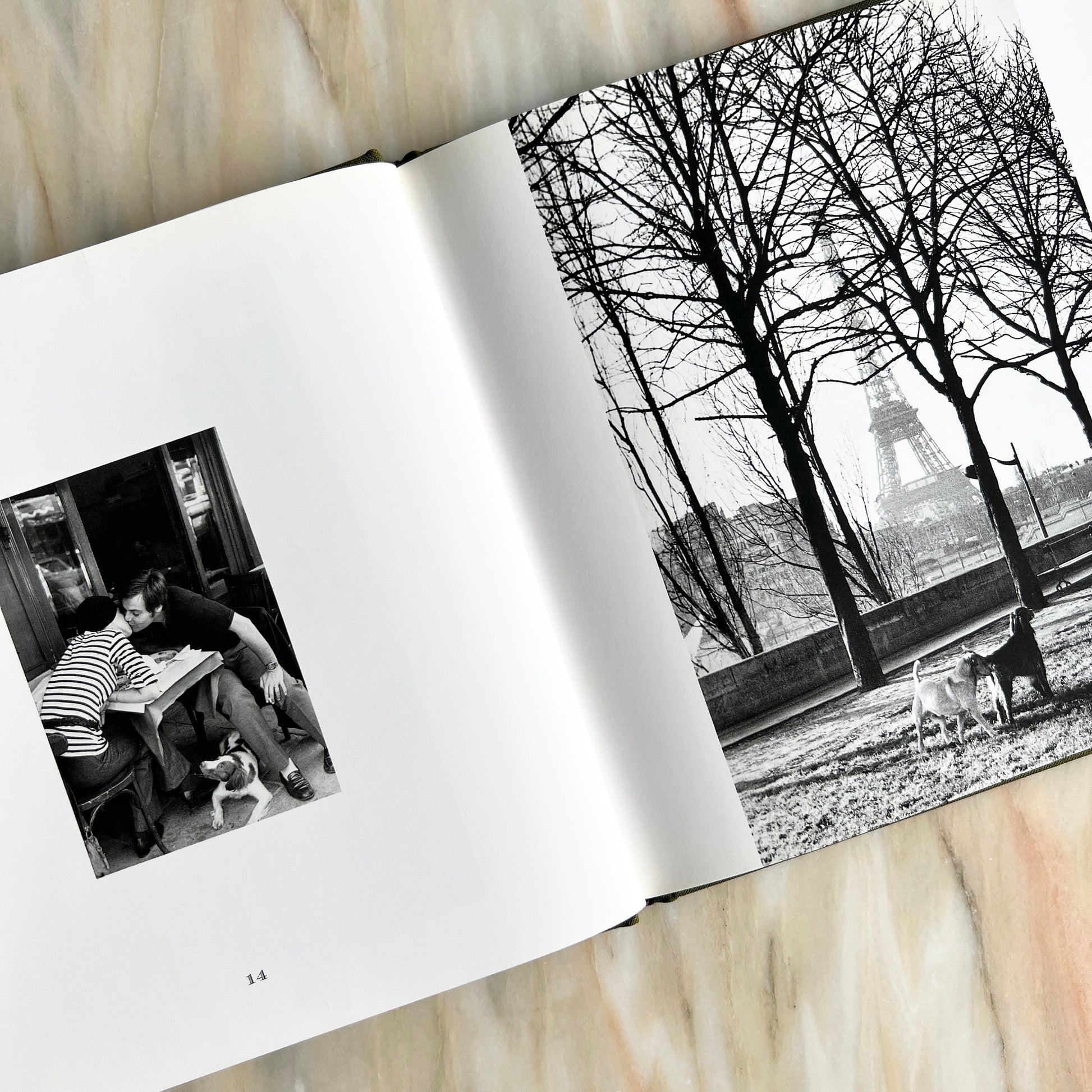 1995 Les Chiens de Paris