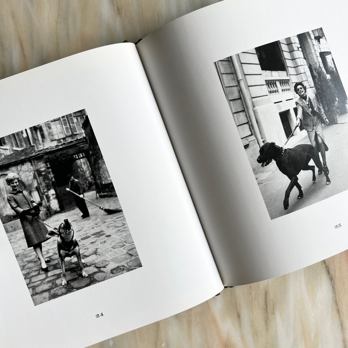 1995 Les Chiens de Paris