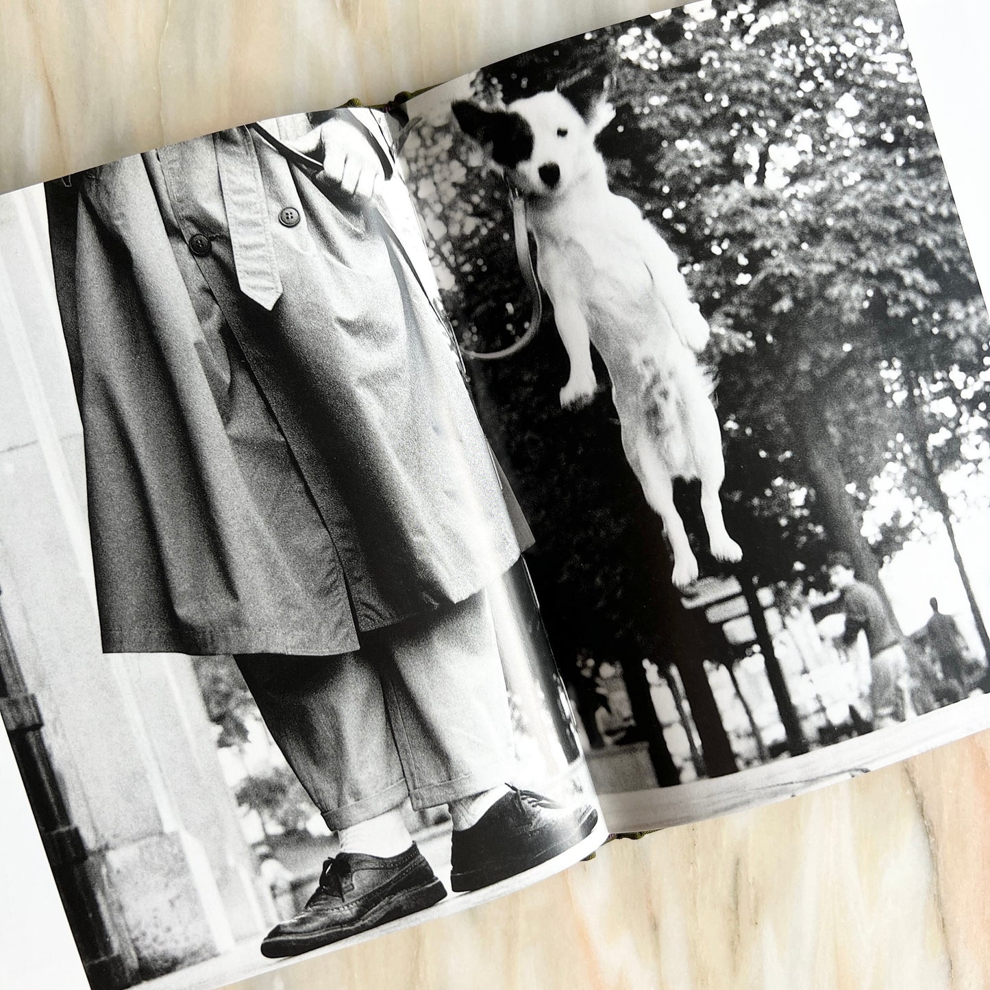 1995 Les Chiens de Paris
