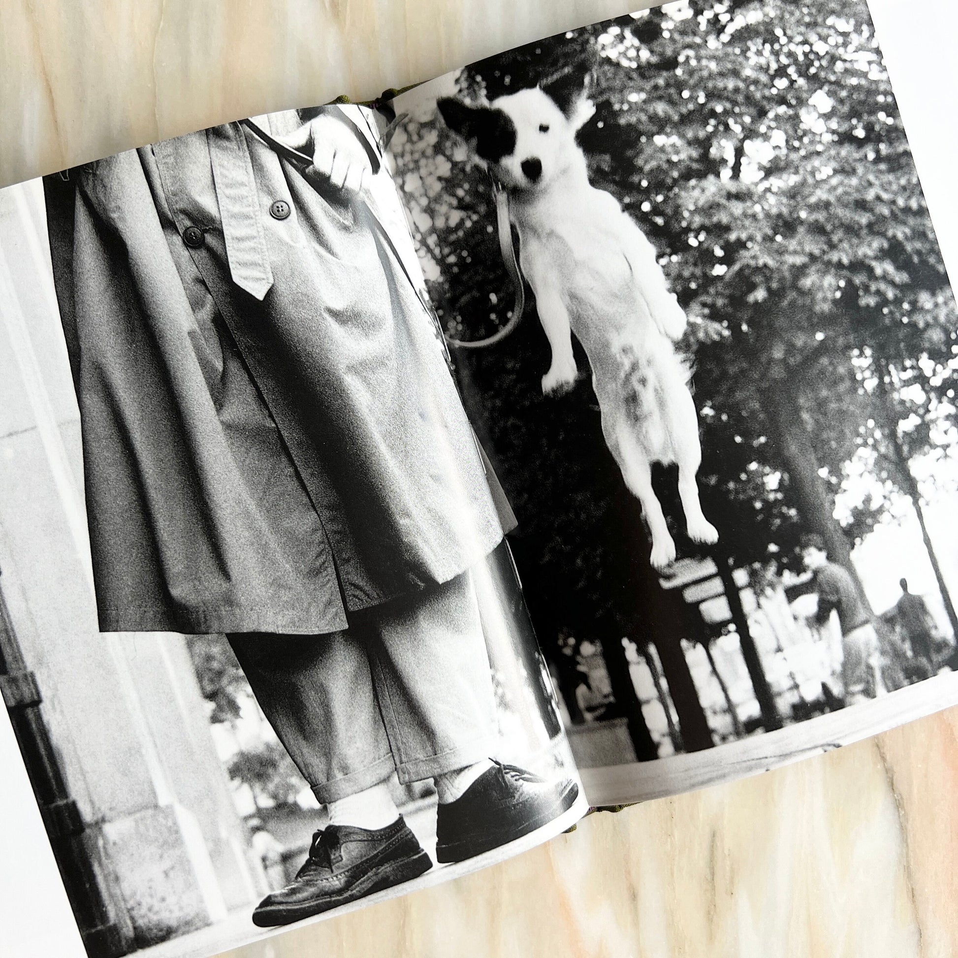 1995 Les Chiens de Paris