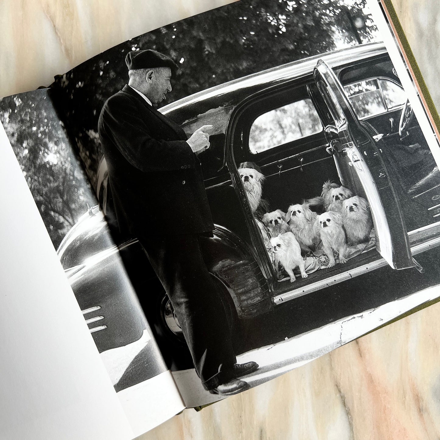 1995 Les Chiens de Paris