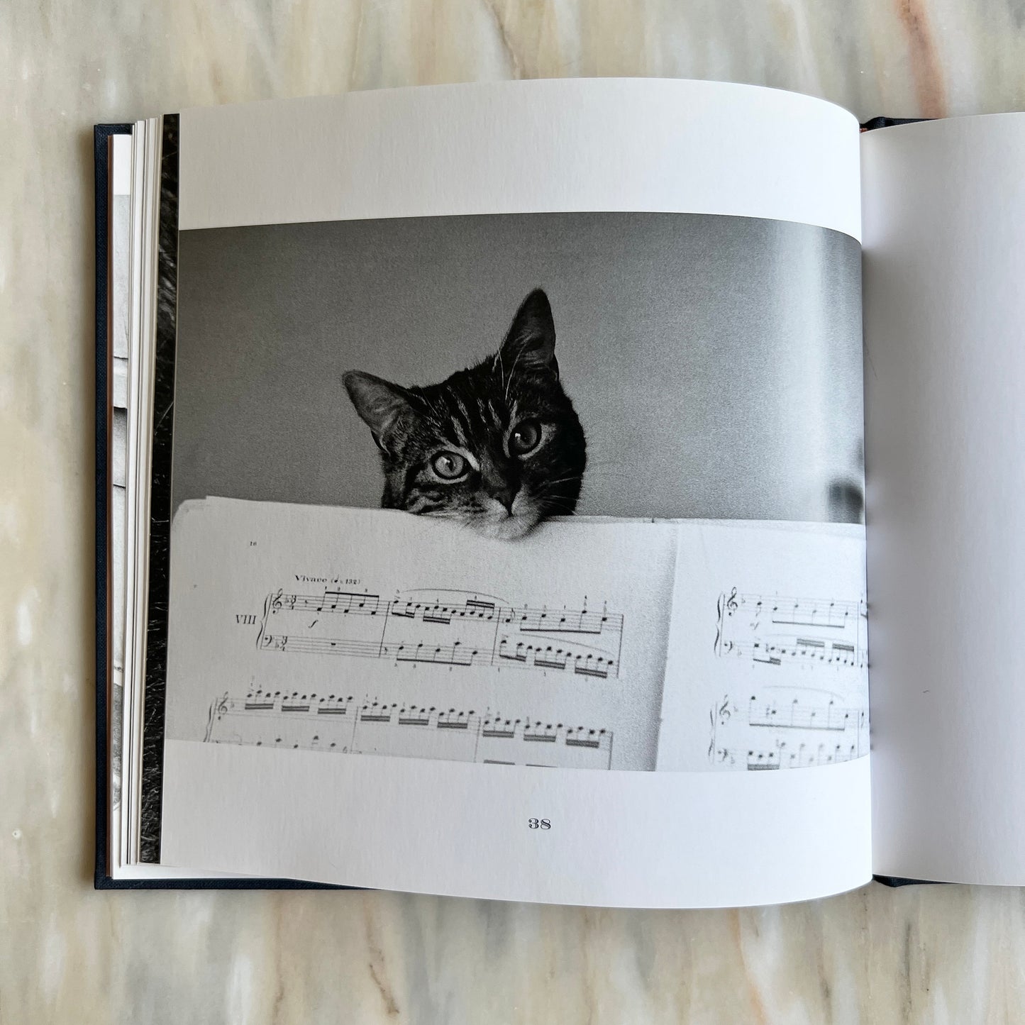 1996 Les Chats de Paris/ The Cats of Paris