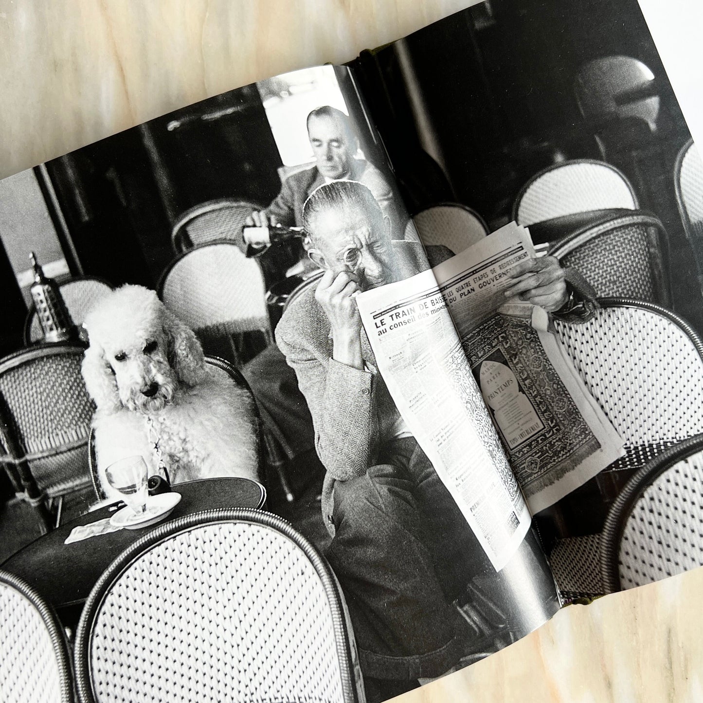 1995 Les Chiens de Paris