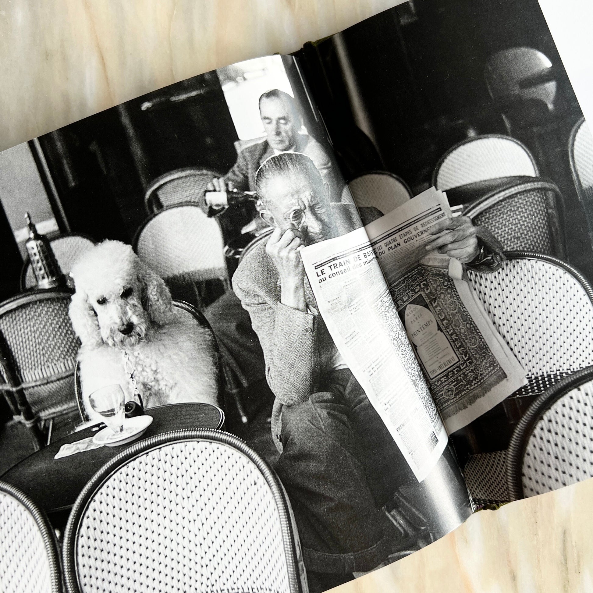 1995 Les Chiens de Paris