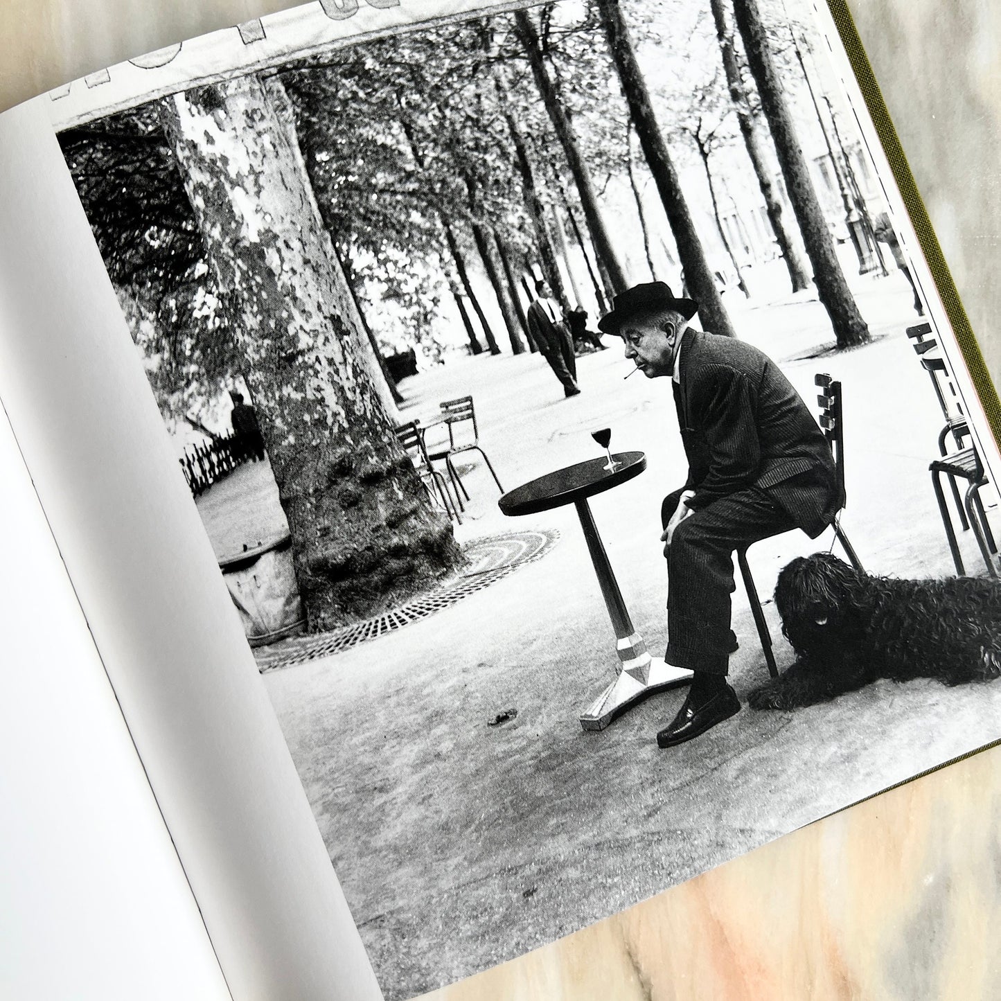1995 Les Chiens de Paris