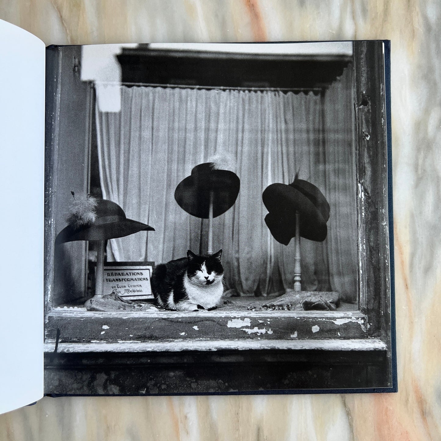 1996 Les Chats de Paris/ The Cats of Paris
