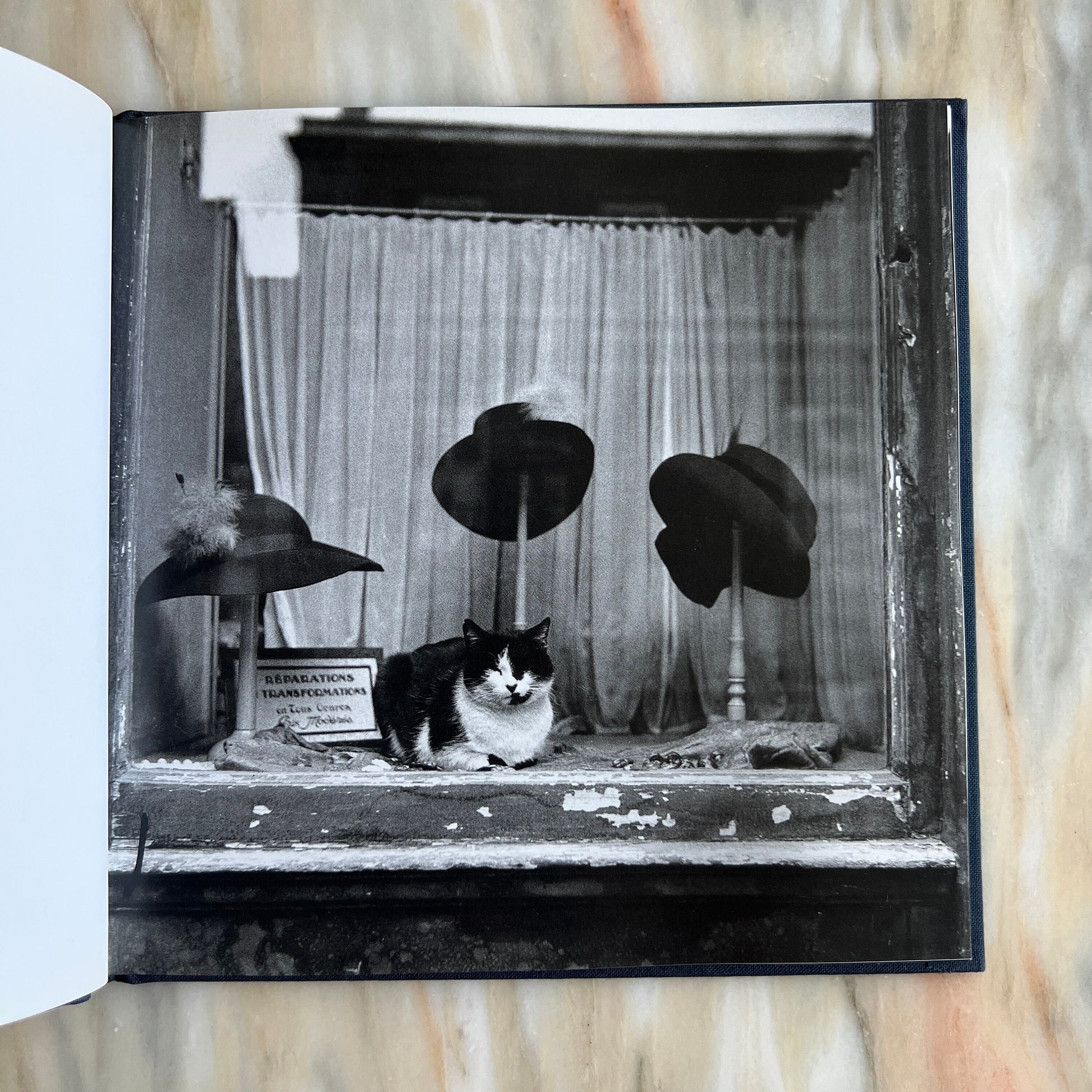 1996 Les Chats de Paris/ The Cats of Paris