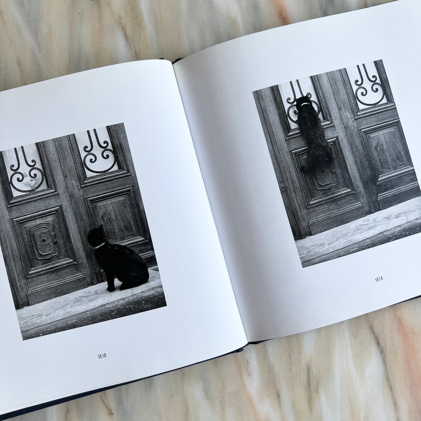 1996 Les Chats de Paris/ The Cats of Paris