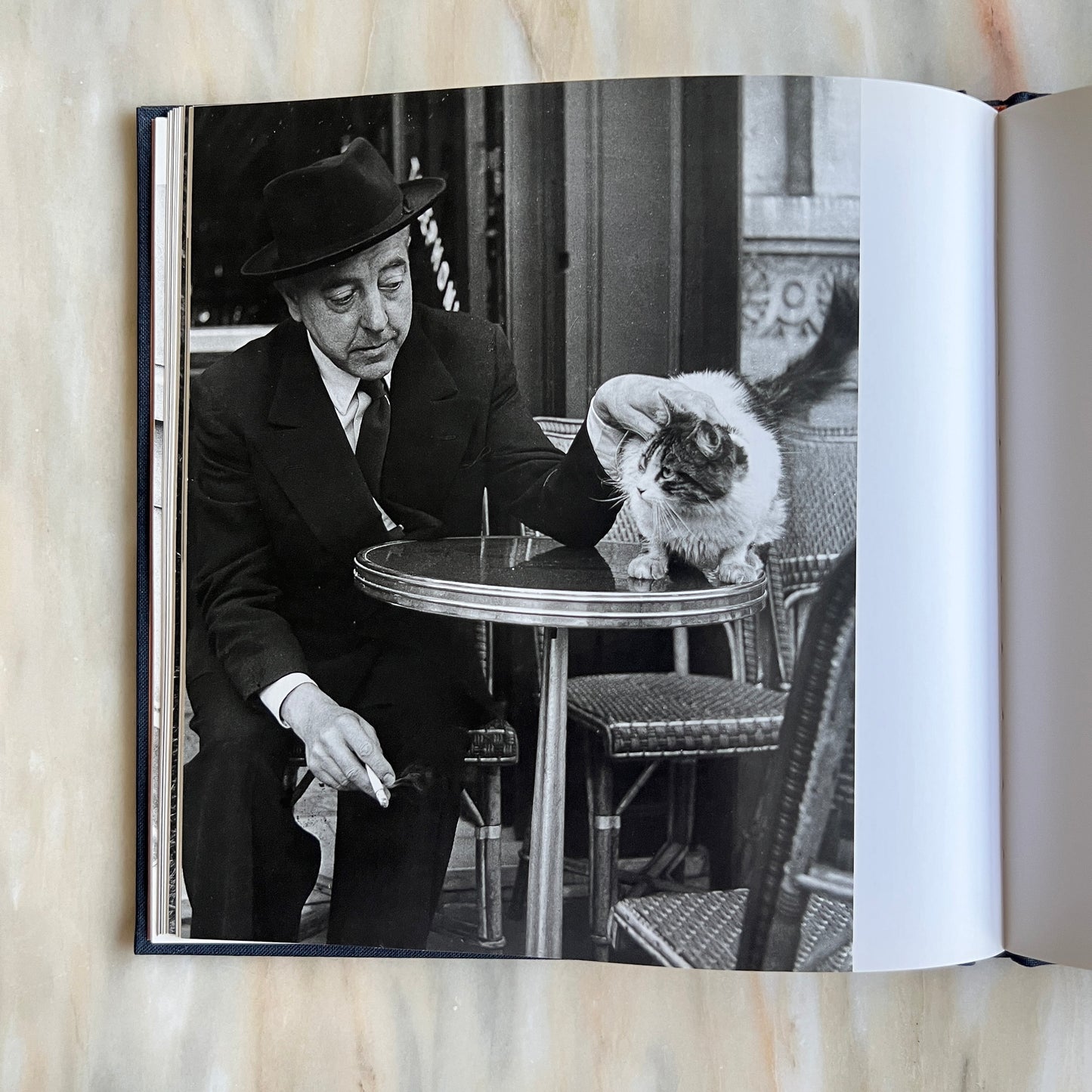 1996 Les Chats de Paris/ The Cats of Paris