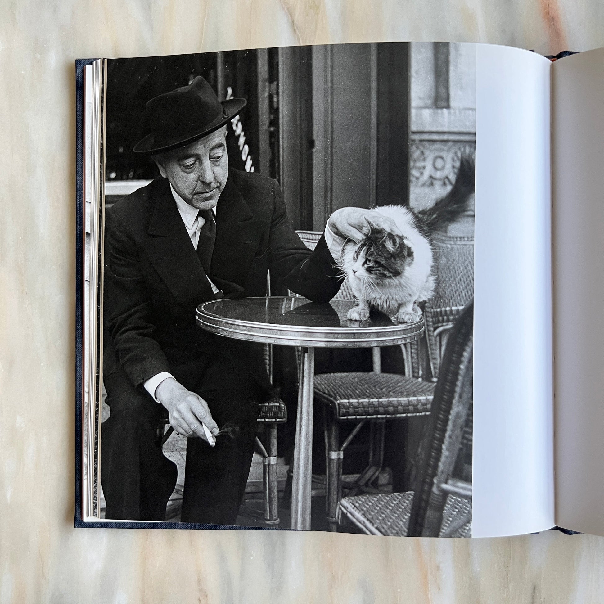 1996 Les Chats de Paris/ The Cats of Paris