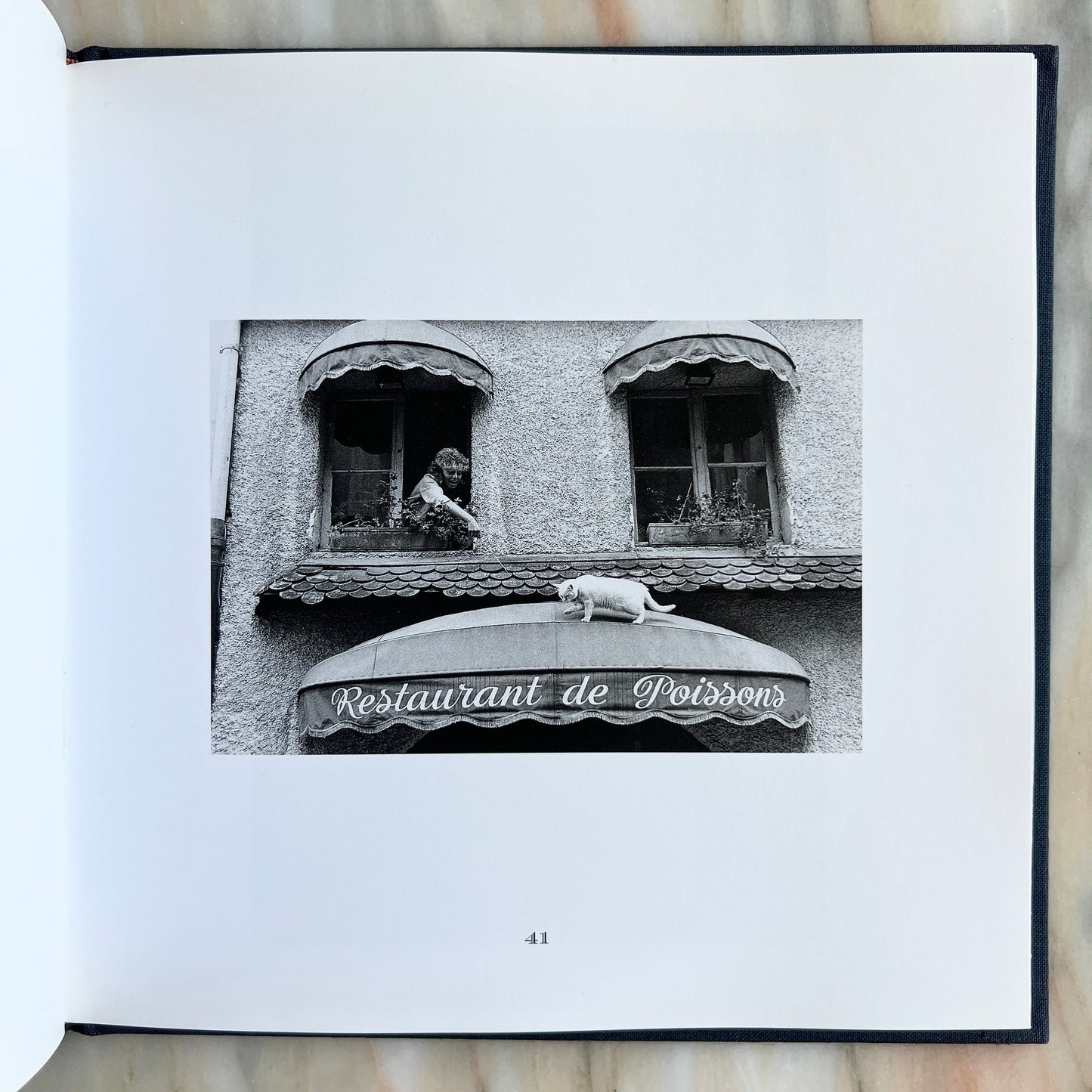 1996 Les Chats de Paris/ The Cats of Paris