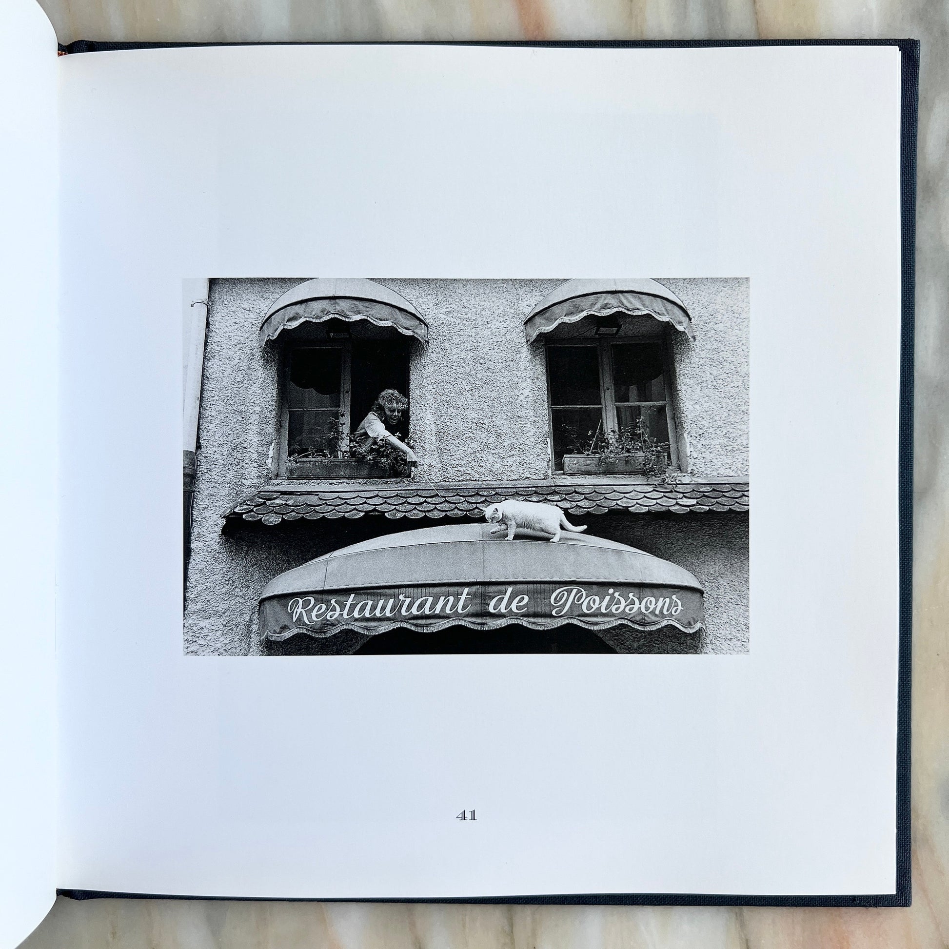 1996 Les Chats de Paris/ The Cats of Paris