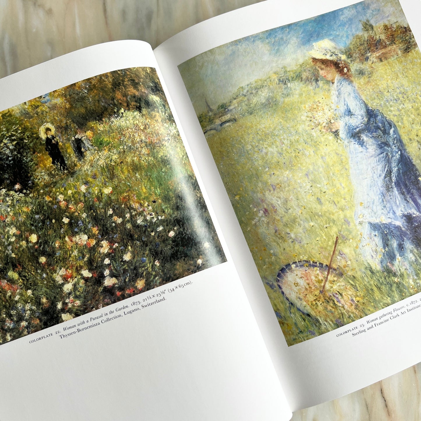 1989 Renoir: A Retrospective