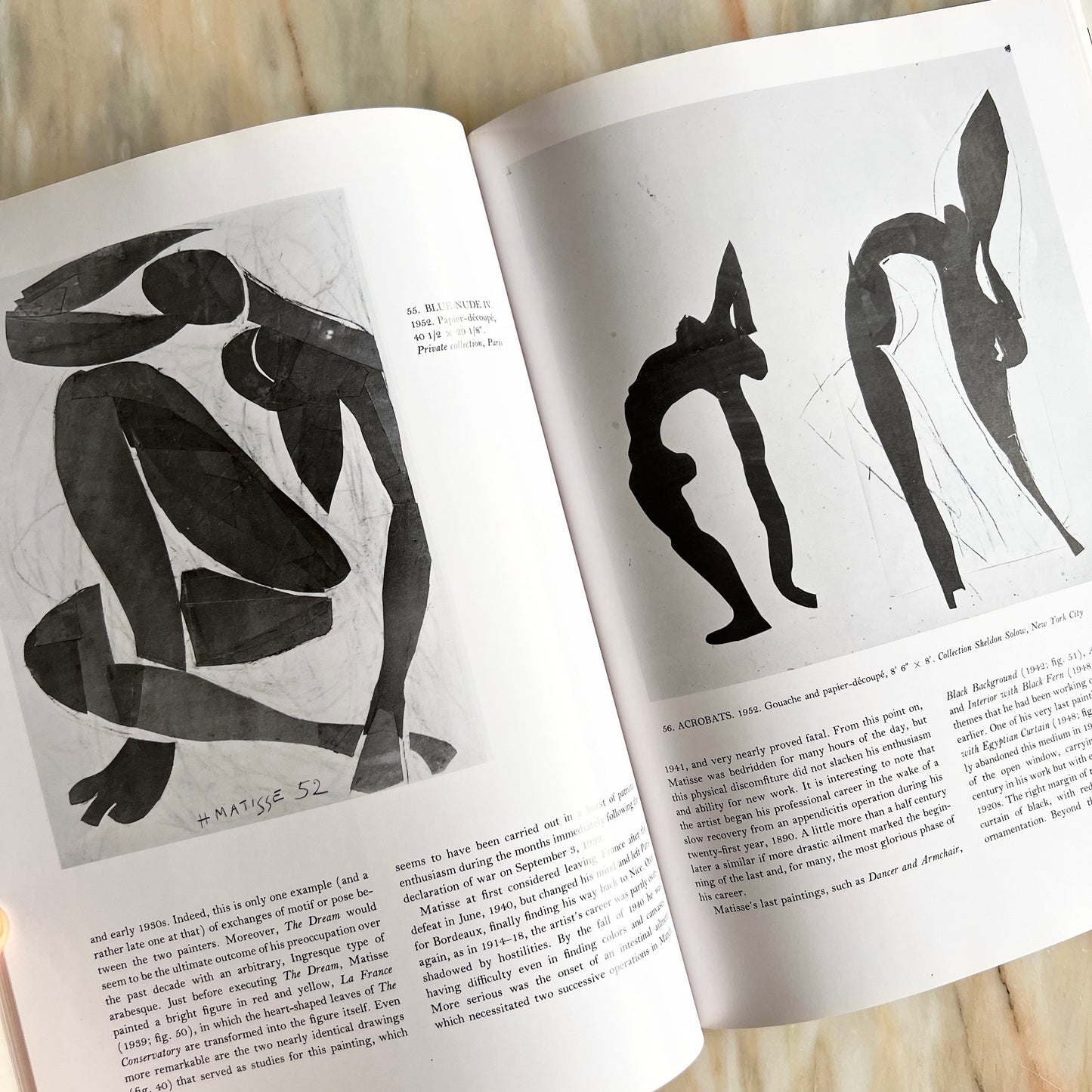 1999 Matisse by John Jacobus