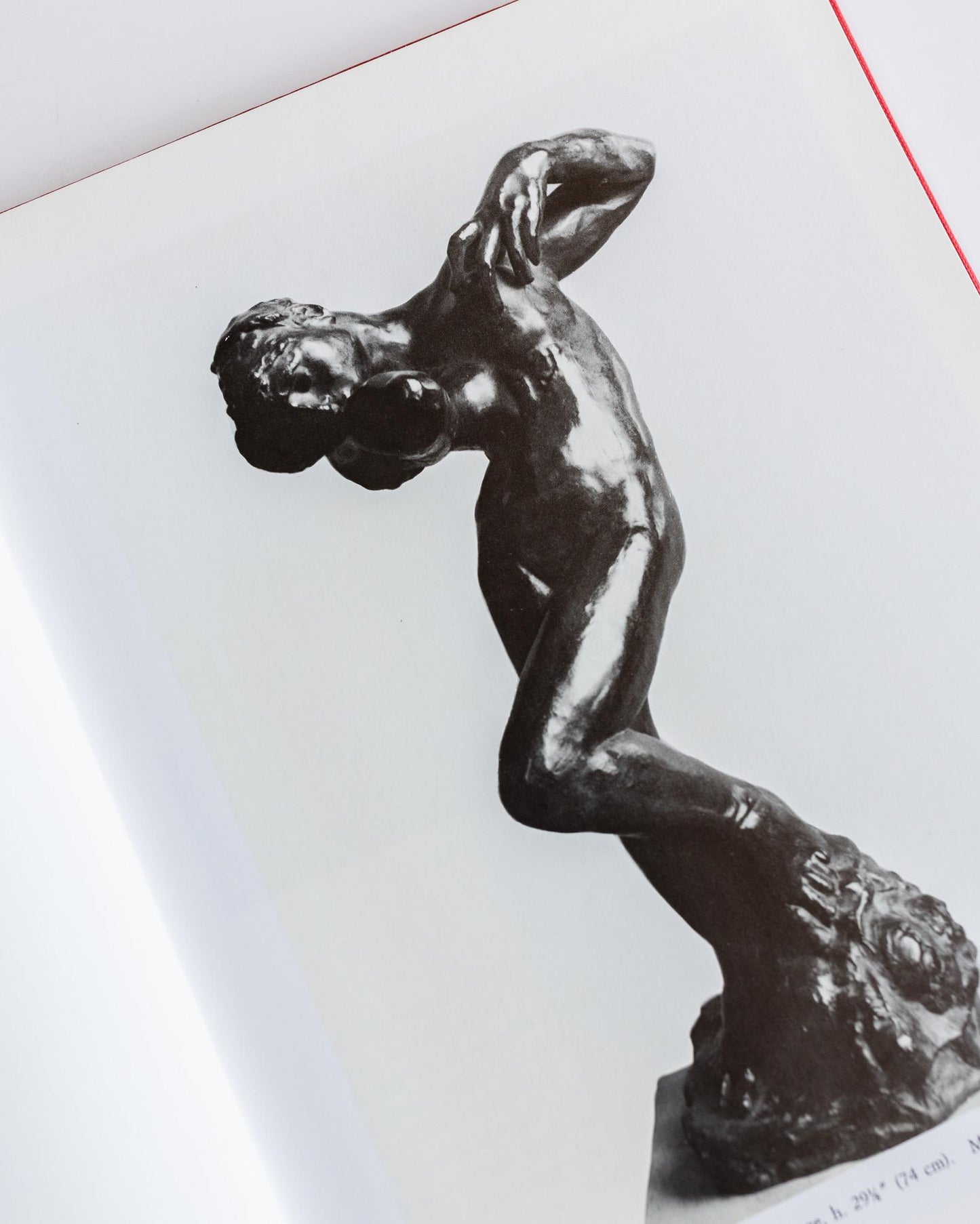 1988 Rodin