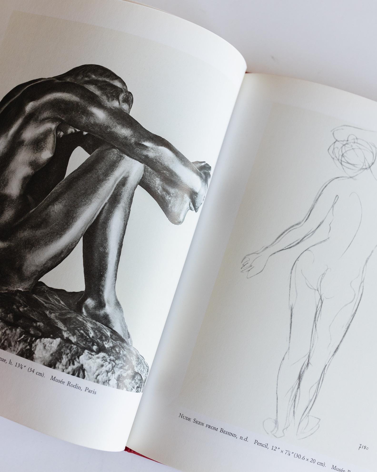 1988 Rodin