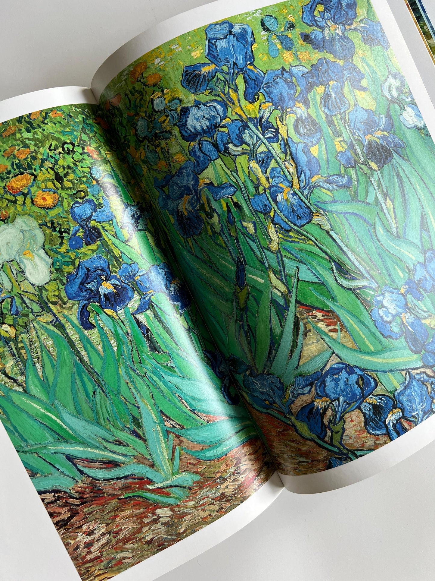 1998 The Unseen Van Gogh