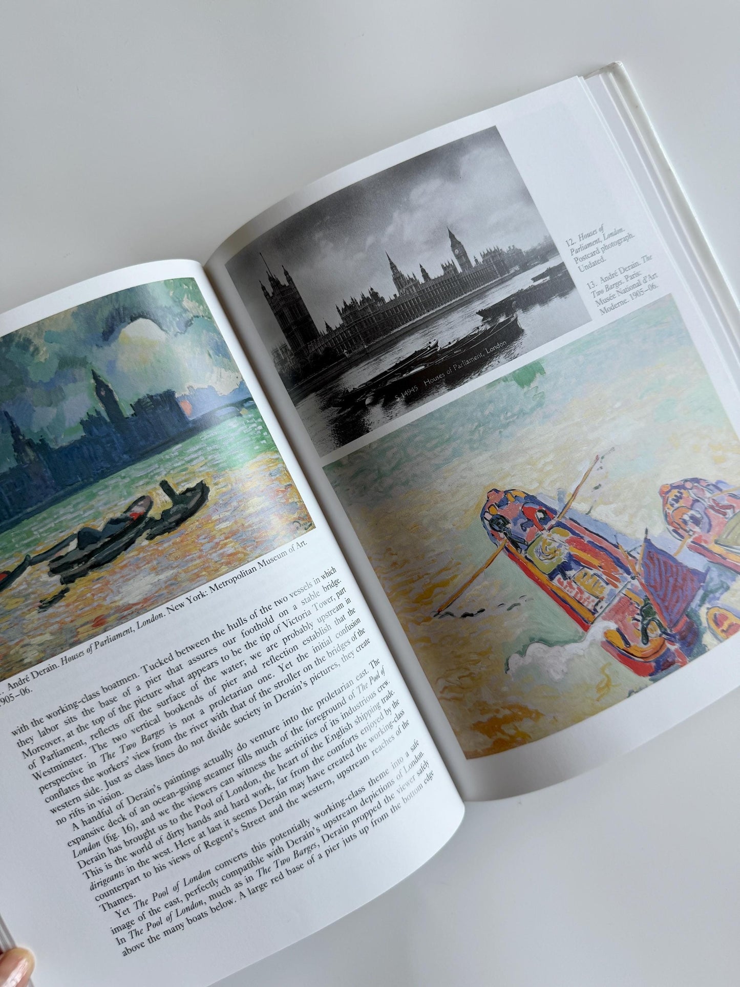 Vintage Fauve Painting Book by James D. Herbert 1992 | Matisse Derain Vlaminck Art History Book | Modern Art Theory | Fauvism