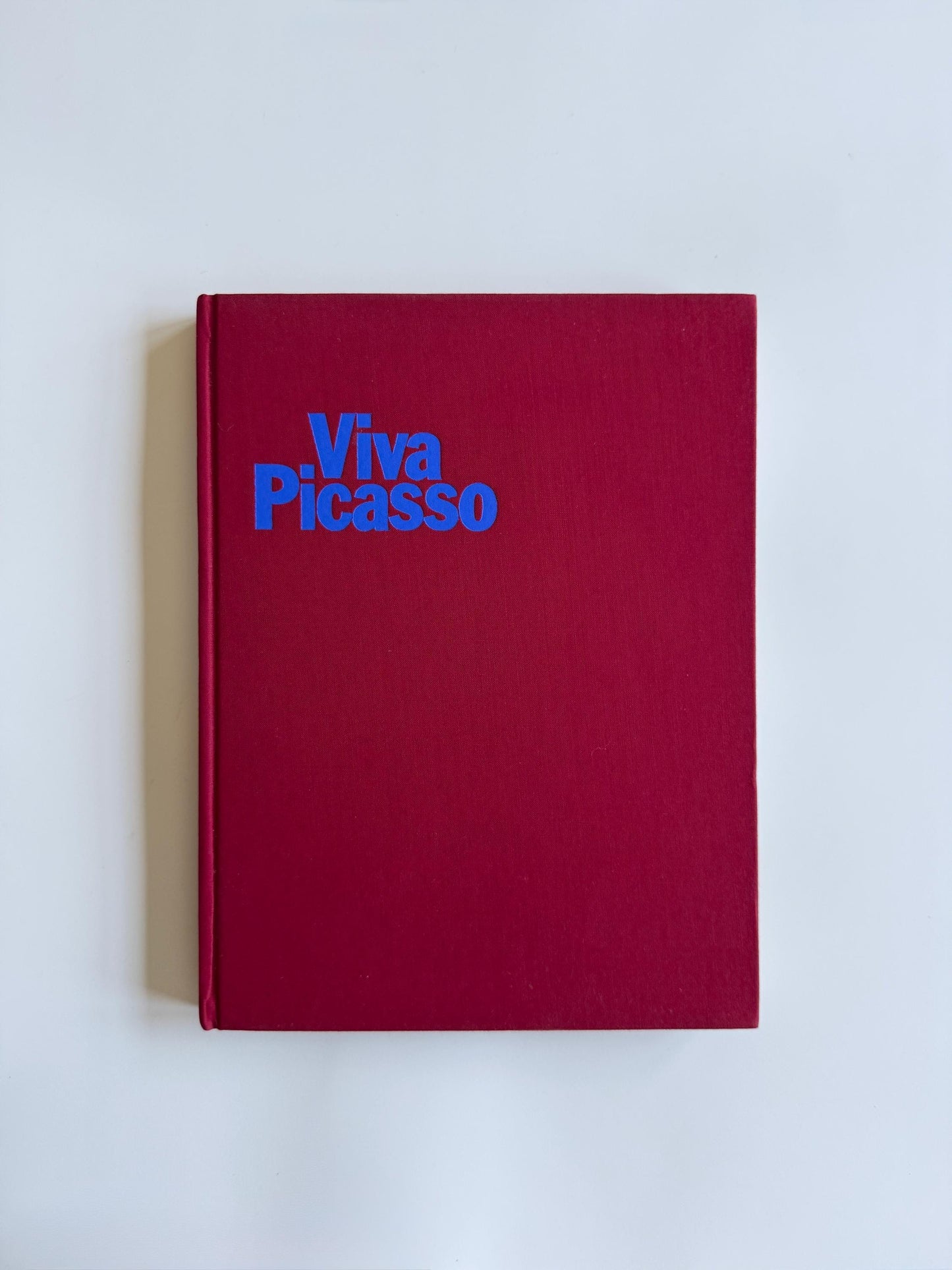Vintage Viva Picasso Book by David Douglas Duncan | Pablo Picasso Photography Book 1980 | Artist Portraits & Studio Photography