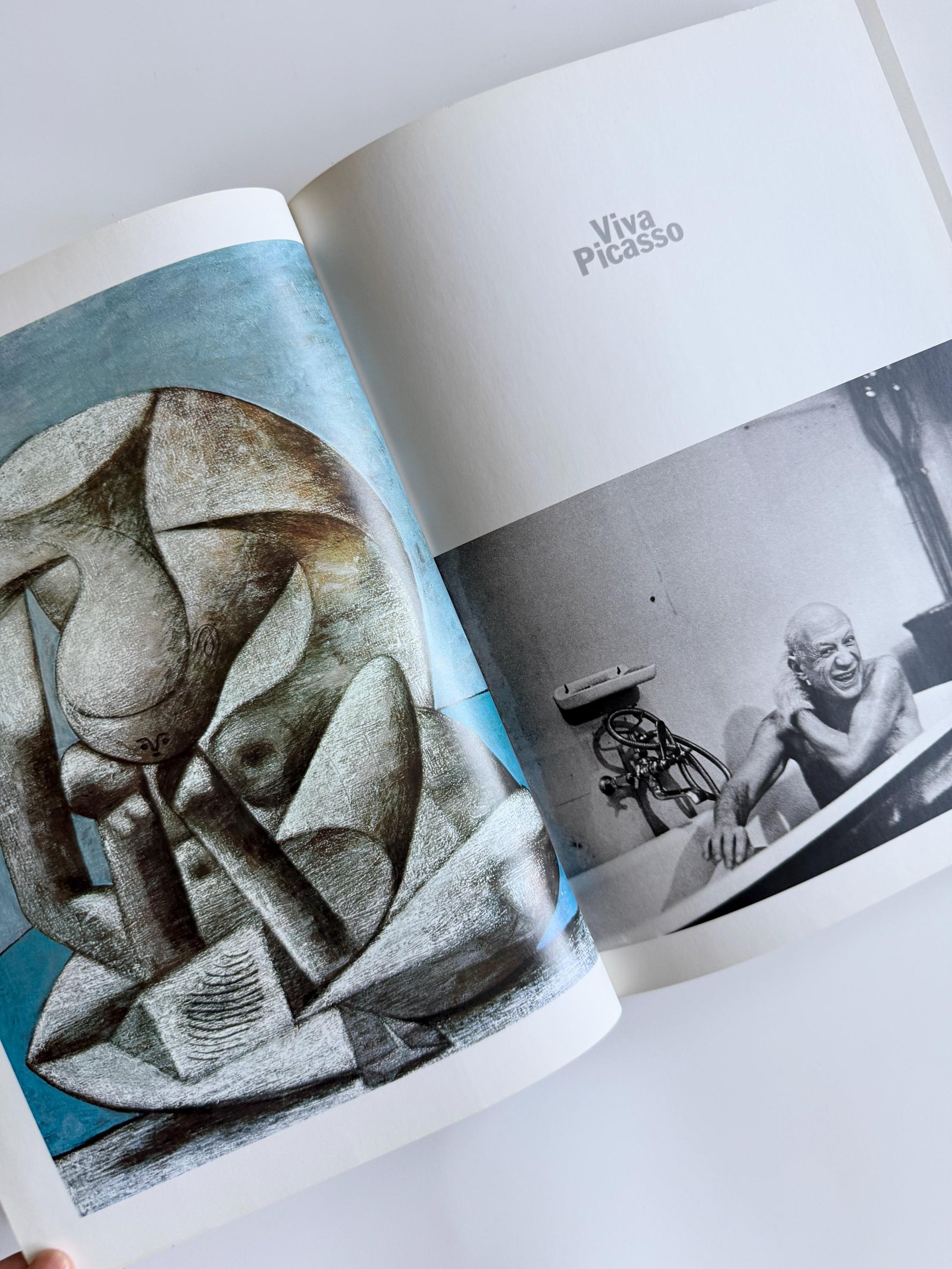 Vintage Viva Picasso Book by David Douglas Duncan | Pablo Picasso Photography Book 1980 | Artist Portraits & Studio Photography