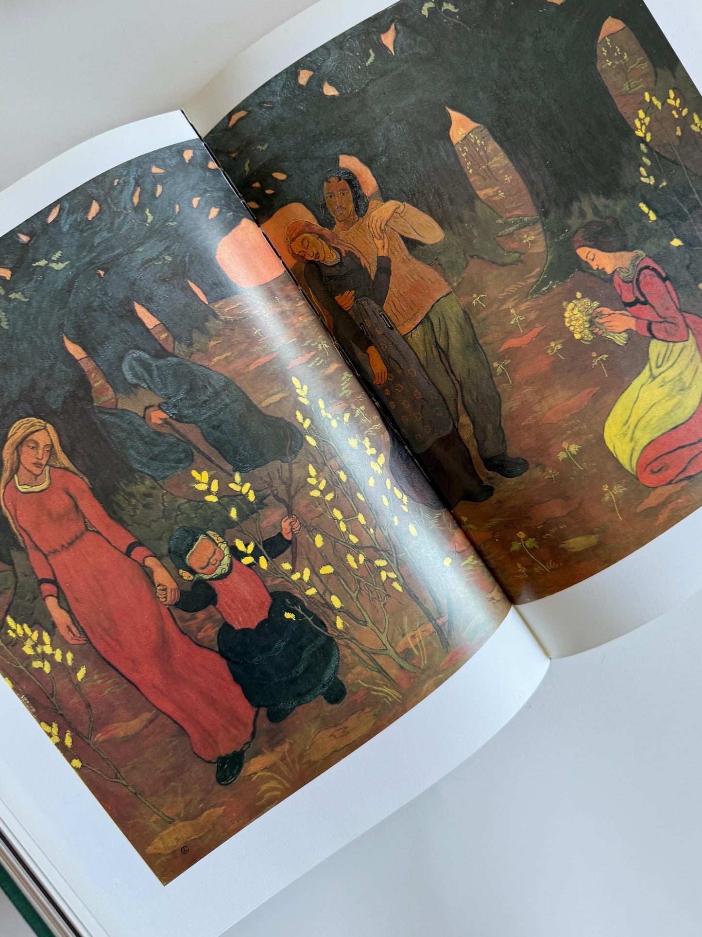 Vintage The Nabis Art Book | Bonnard Vuillard and Their Circle | Post-Impressionist French Art Book | 1990 Hardcover