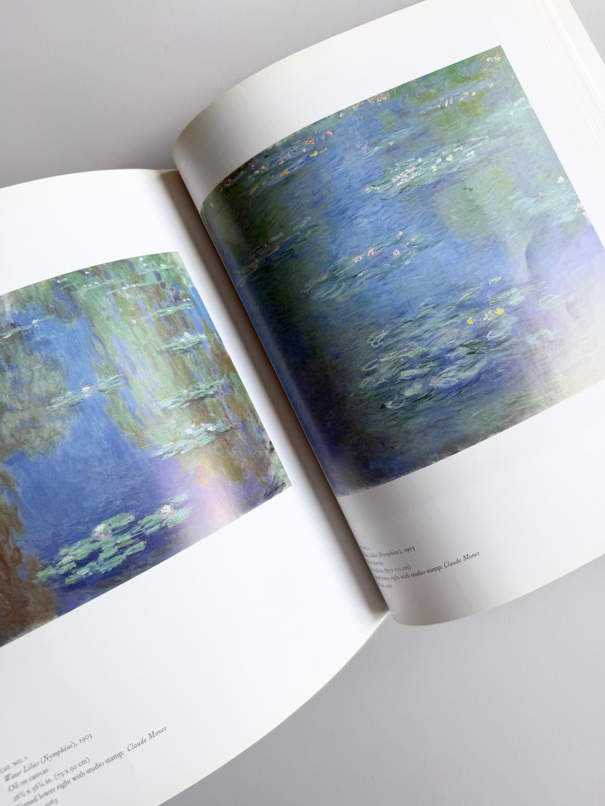 1995 Monet Late Paintings of Giverny Musée Marmottan Paperback Art Book Impressionism Exhibition Catalog