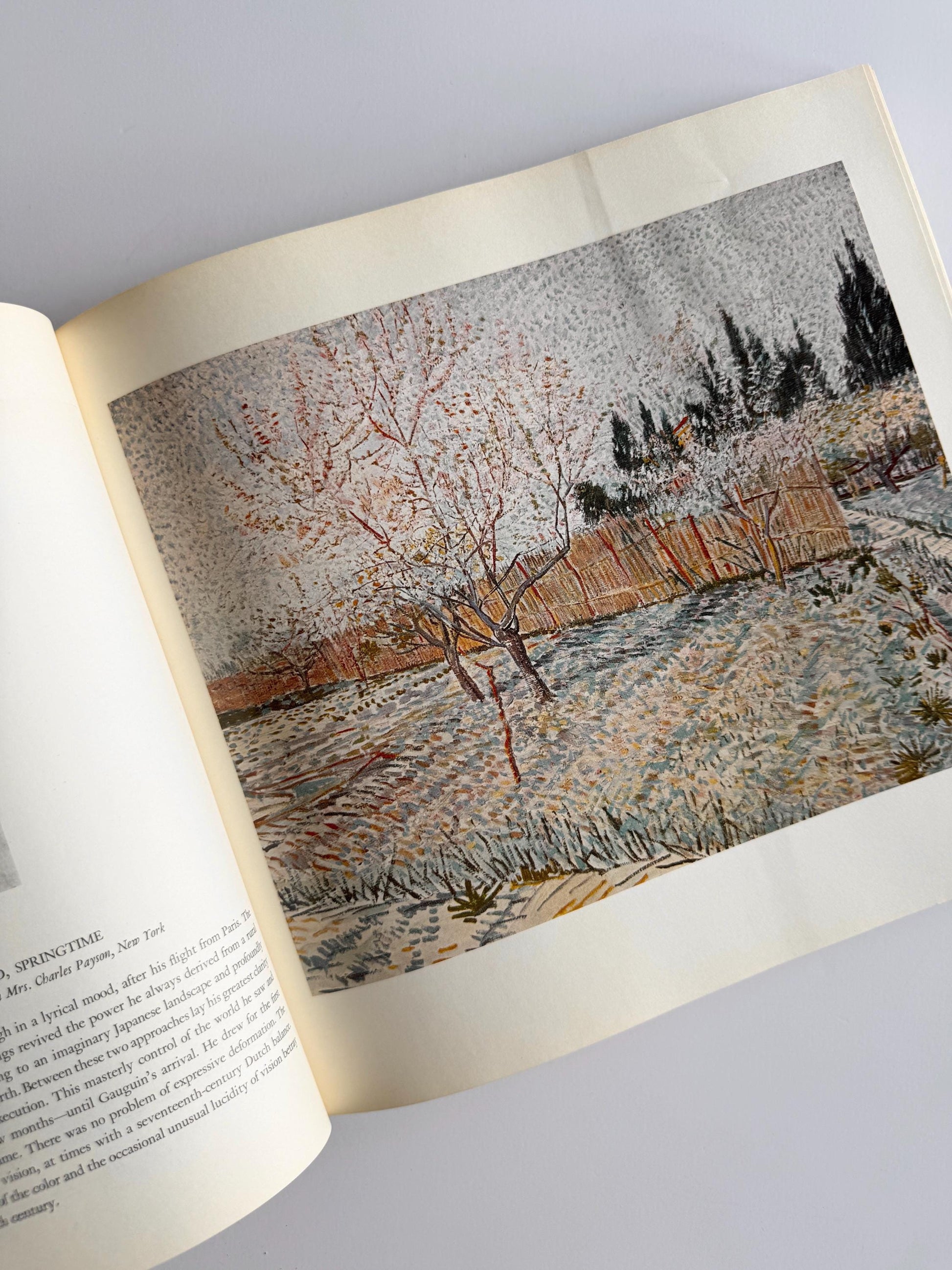 1980 Vintage Vincent Van Gogh: Genius and Disaster | Art Book | Art History Book | Van Gogh Reference | Coffee Table Book | Artful Gift