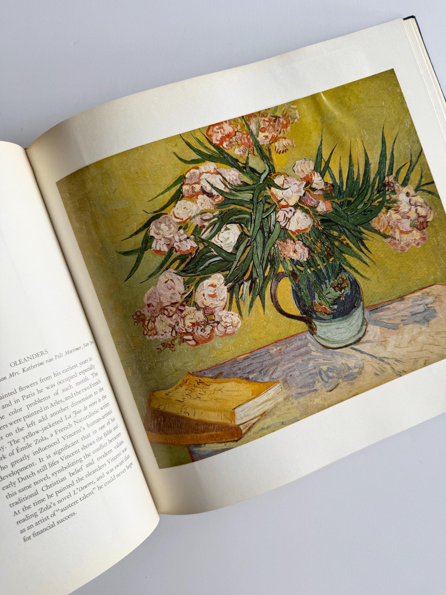 1980 Vintage Vincent Van Gogh: Genius and Disaster | Art Book | Art History Book | Van Gogh Reference | Coffee Table Book | Artful Gift