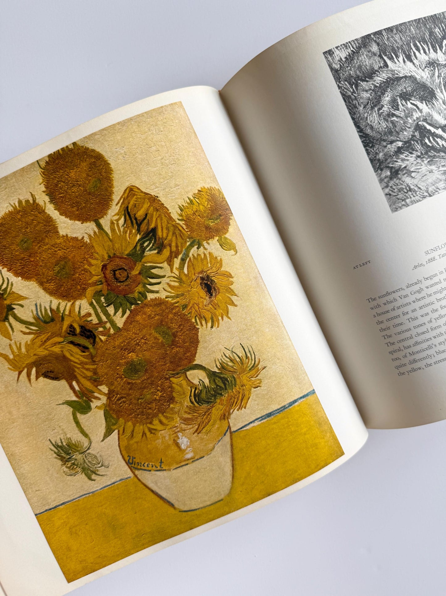 1980 Vintage Vincent Van Gogh: Genius and Disaster | Art Book | Art History Book | Van Gogh Reference | Coffee Table Book | Artful Gift