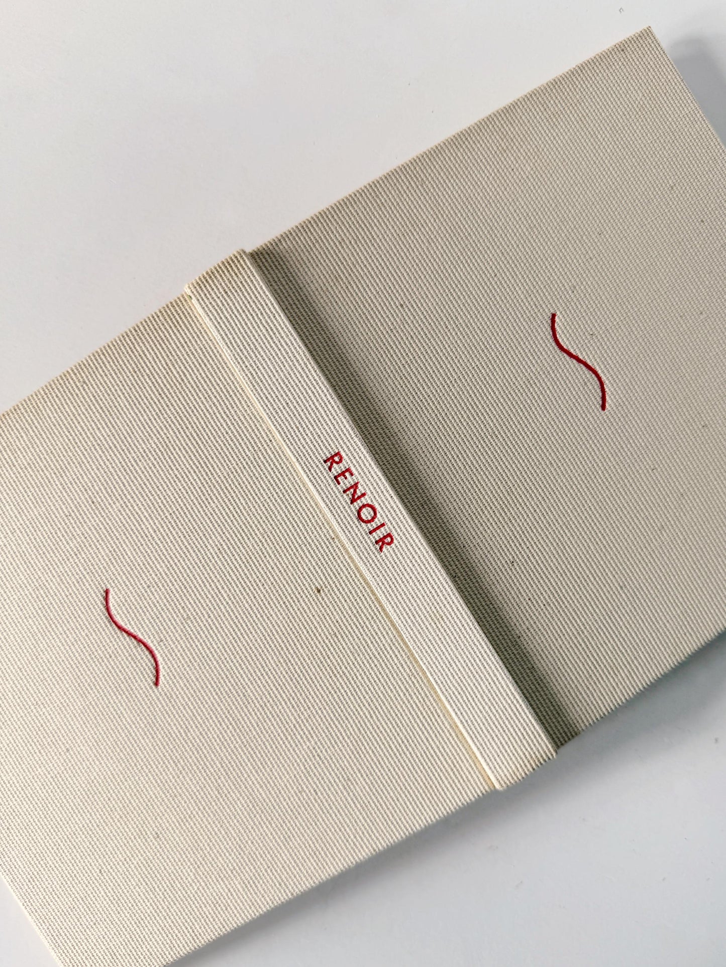 Renoir by Denis Rouart | 1954 First Edition | Skira The Taste of Our Time