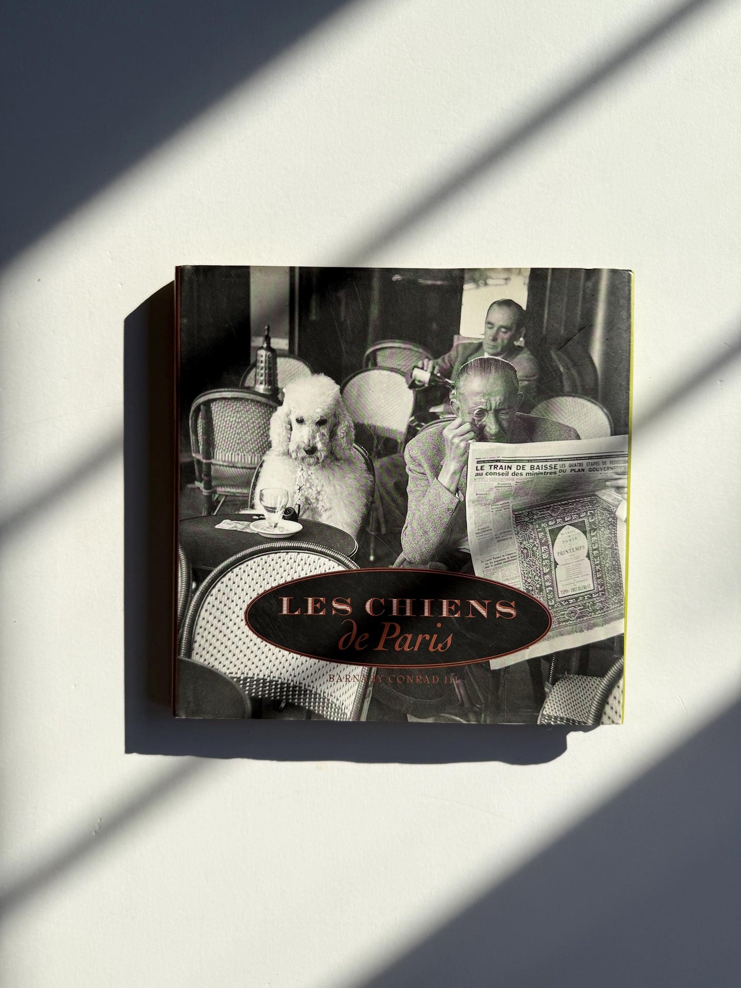 1995 Les Chiens de Paris