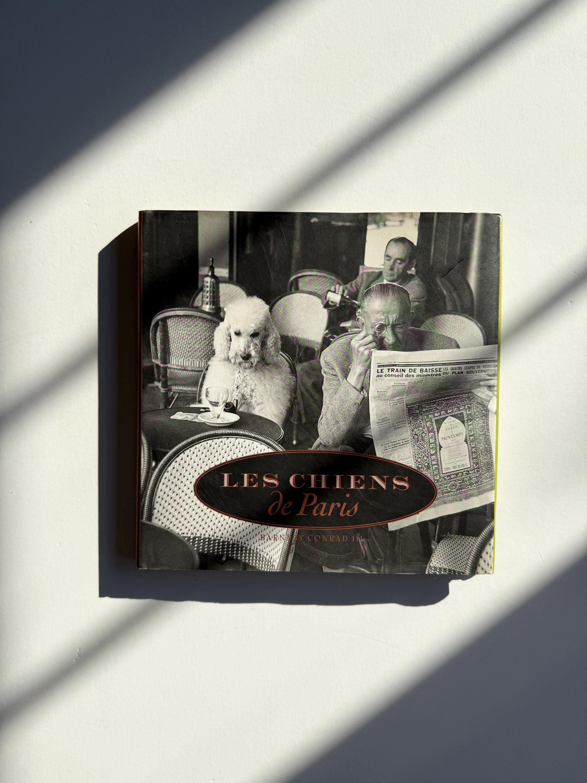 1995 Les Chiens de Paris