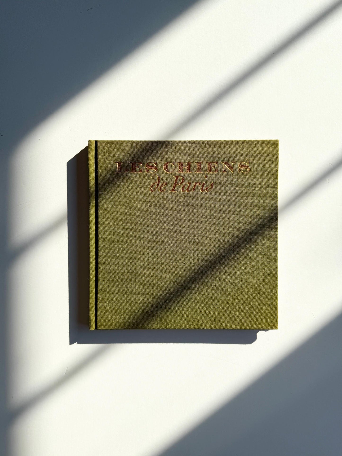 1995 Les Chiens de Paris