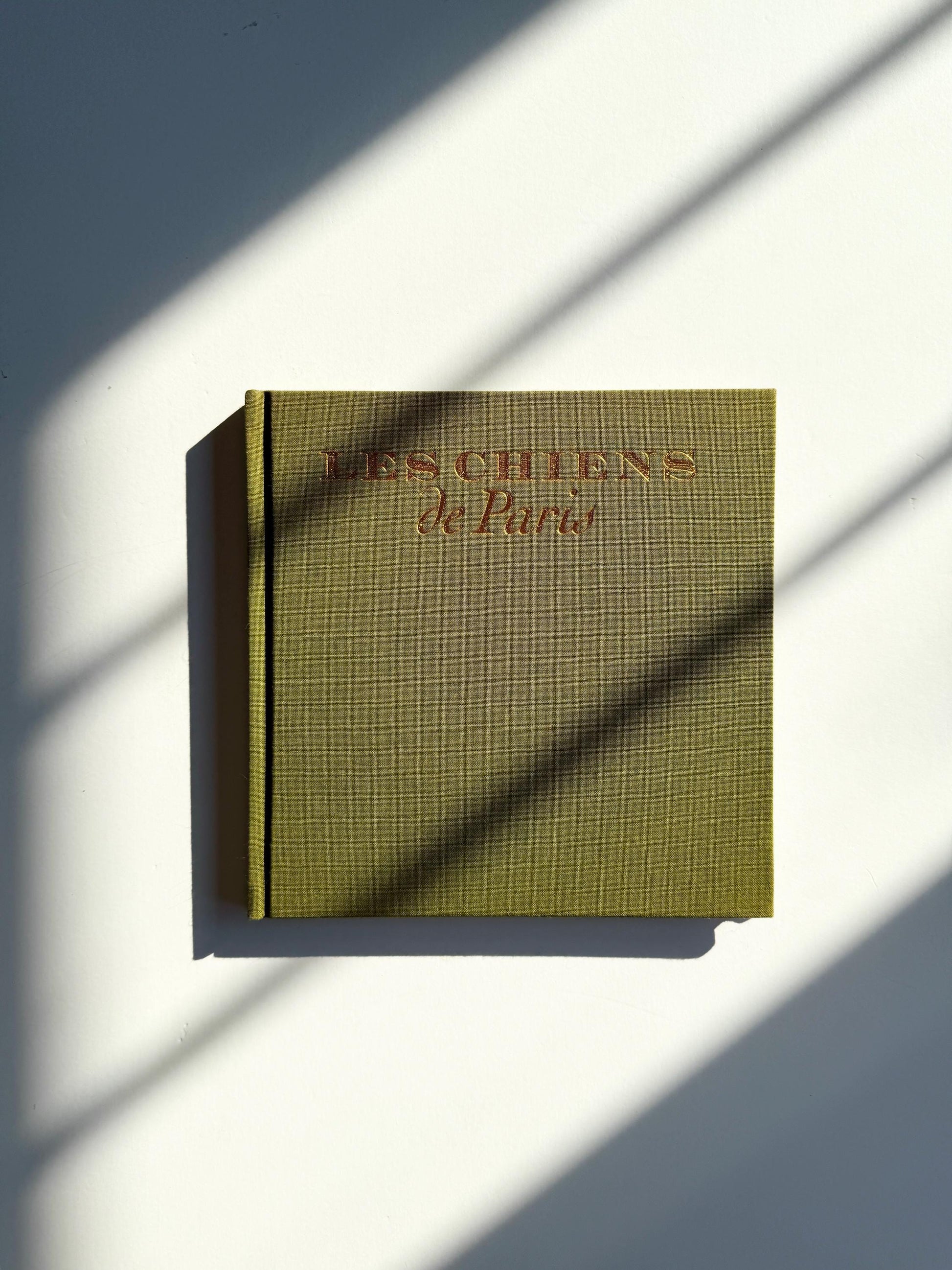1995 Les Chiens de Paris
