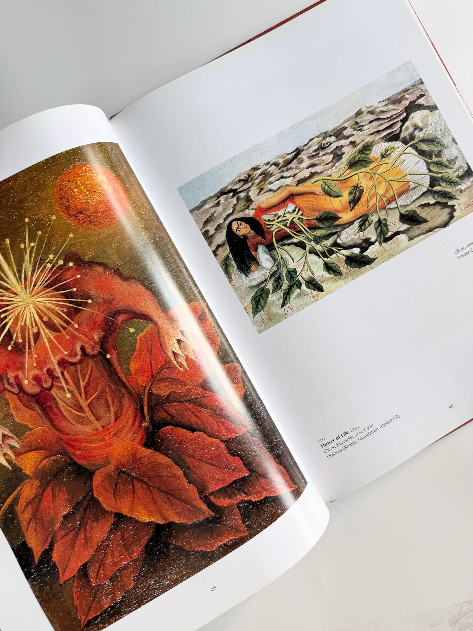 2002 Frida Kahlo by Salomon Grimberg, Vintage Art Book, Mexican Artist Biography, Frida Kahlo Hardcover Book, Art Book Gift
