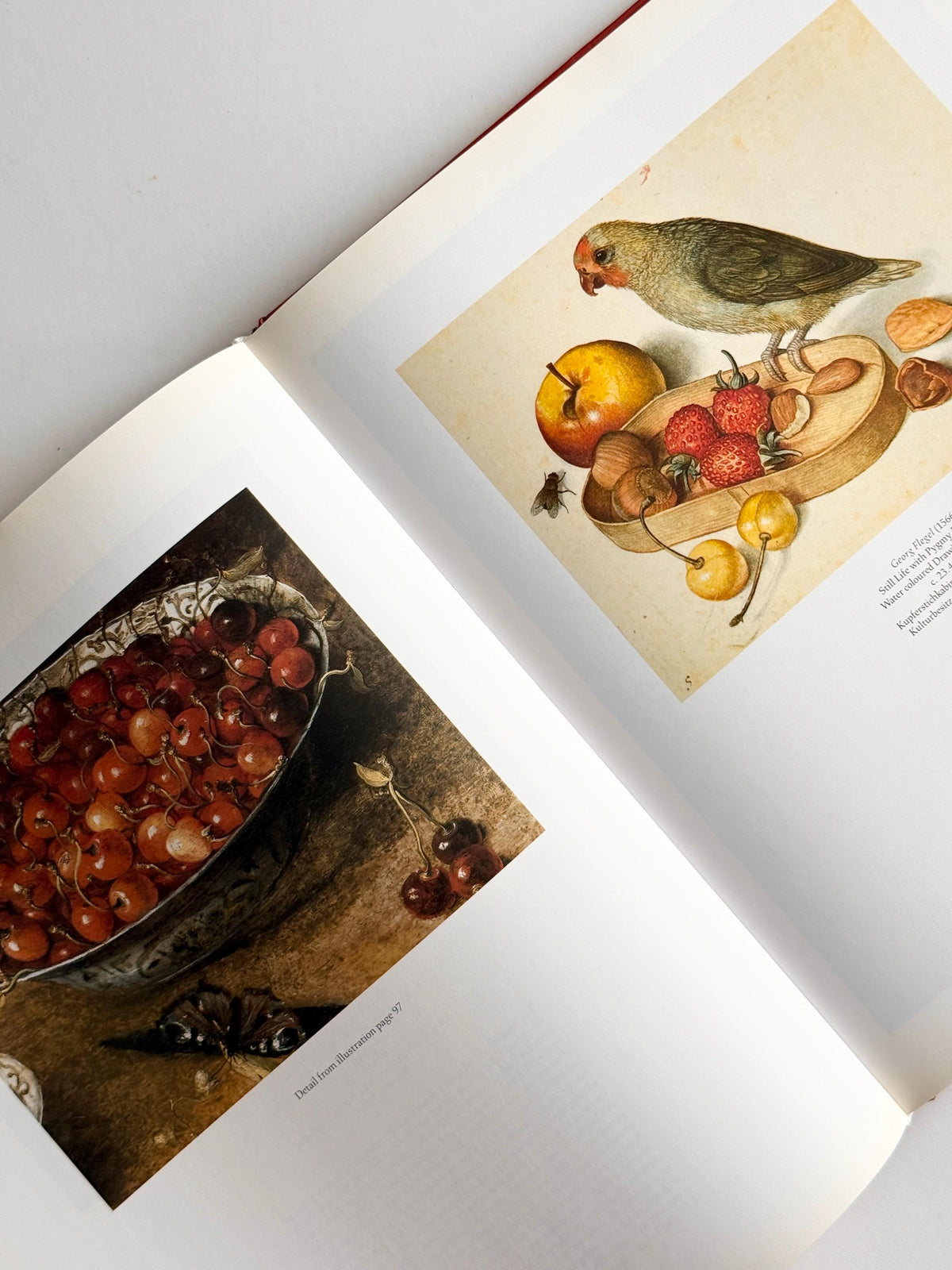 1999 Still Life: Still Life Painting in the Early Modern Period | Vintage Art Book