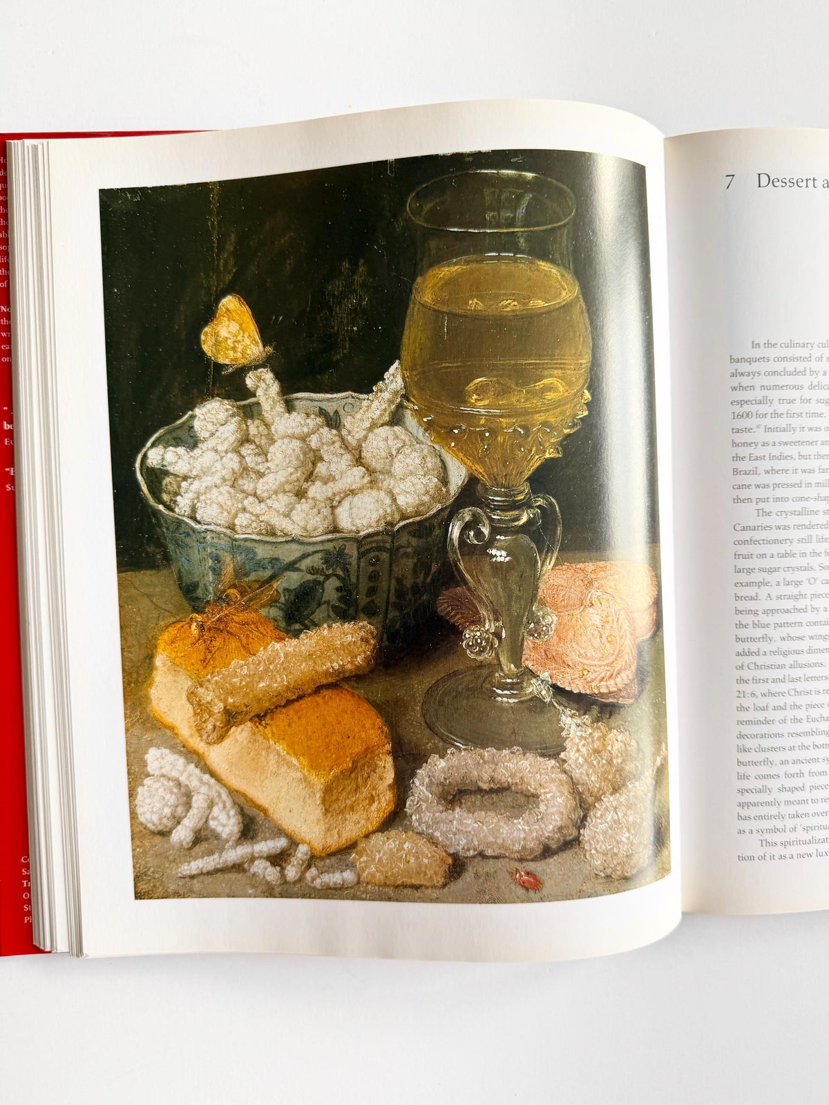 1999 Still Life: Still Life Painting in the Early Modern Period | Vintage Art Book
